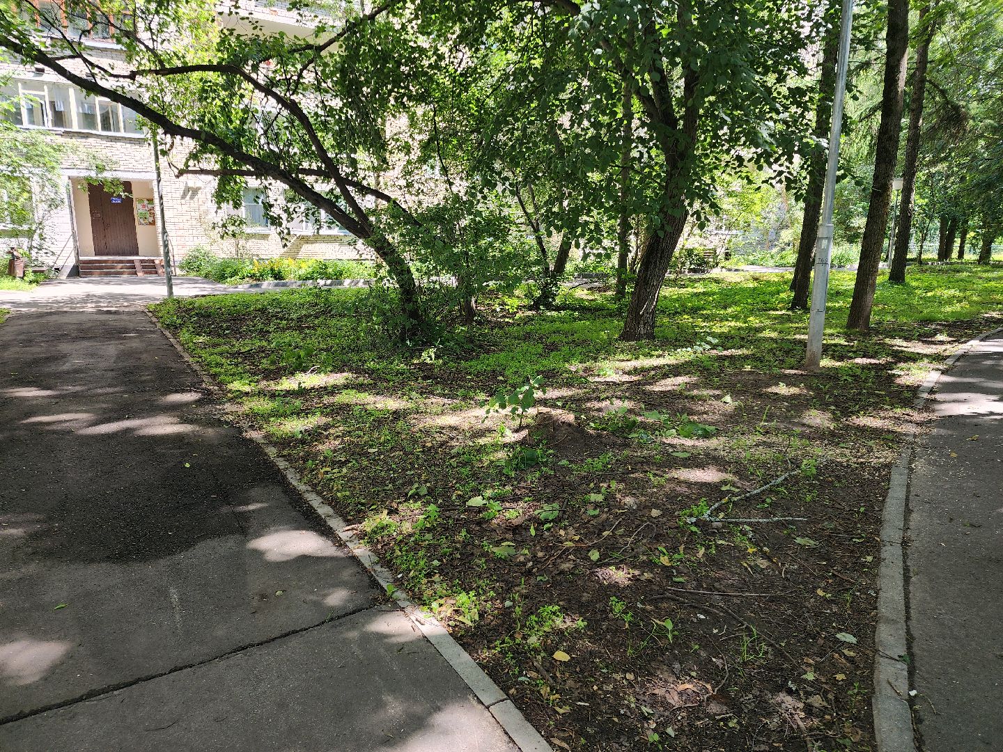 Черноголовка, Благоустройство, жкх, деревья,