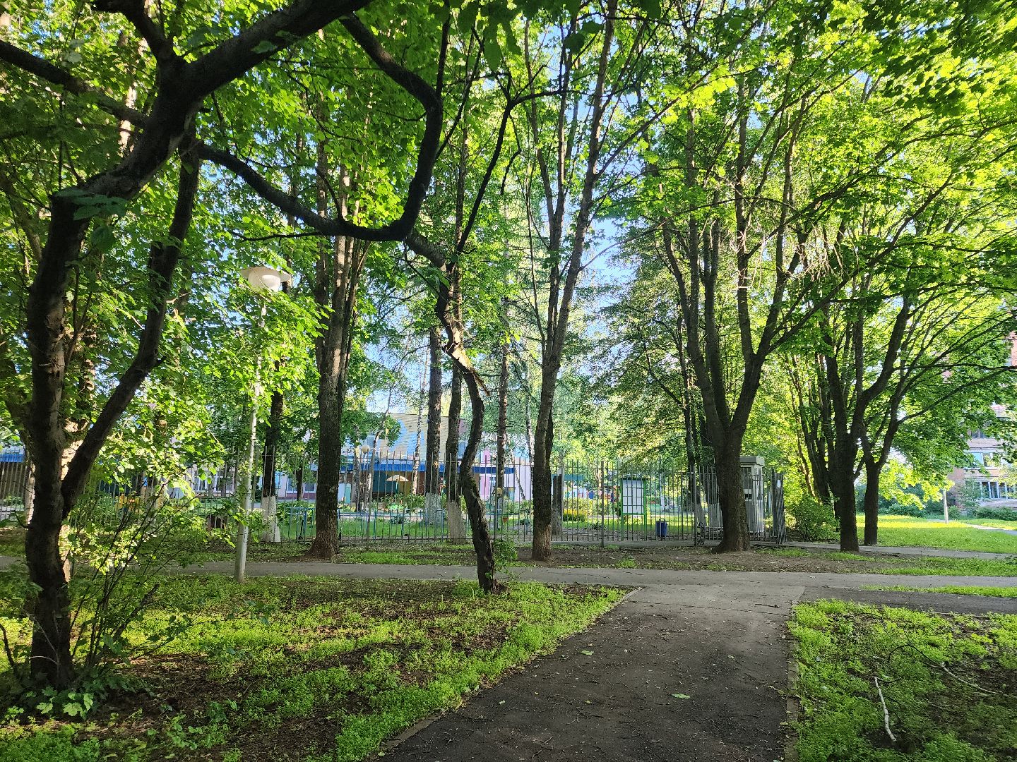Черноголовка, Благоустройство, жкх, деревья,