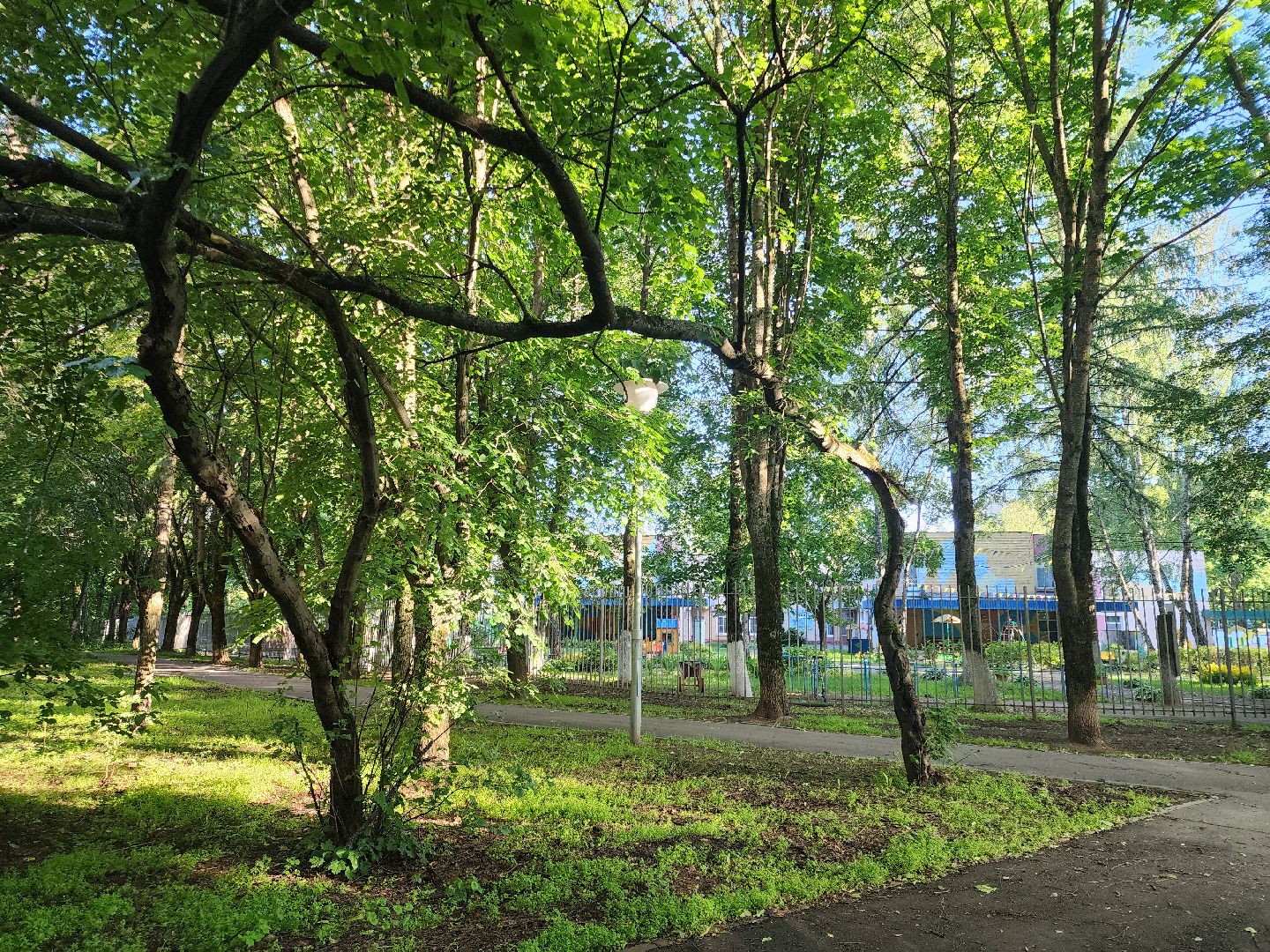 Черноголовка, Благоустройство, жкх, деревья,