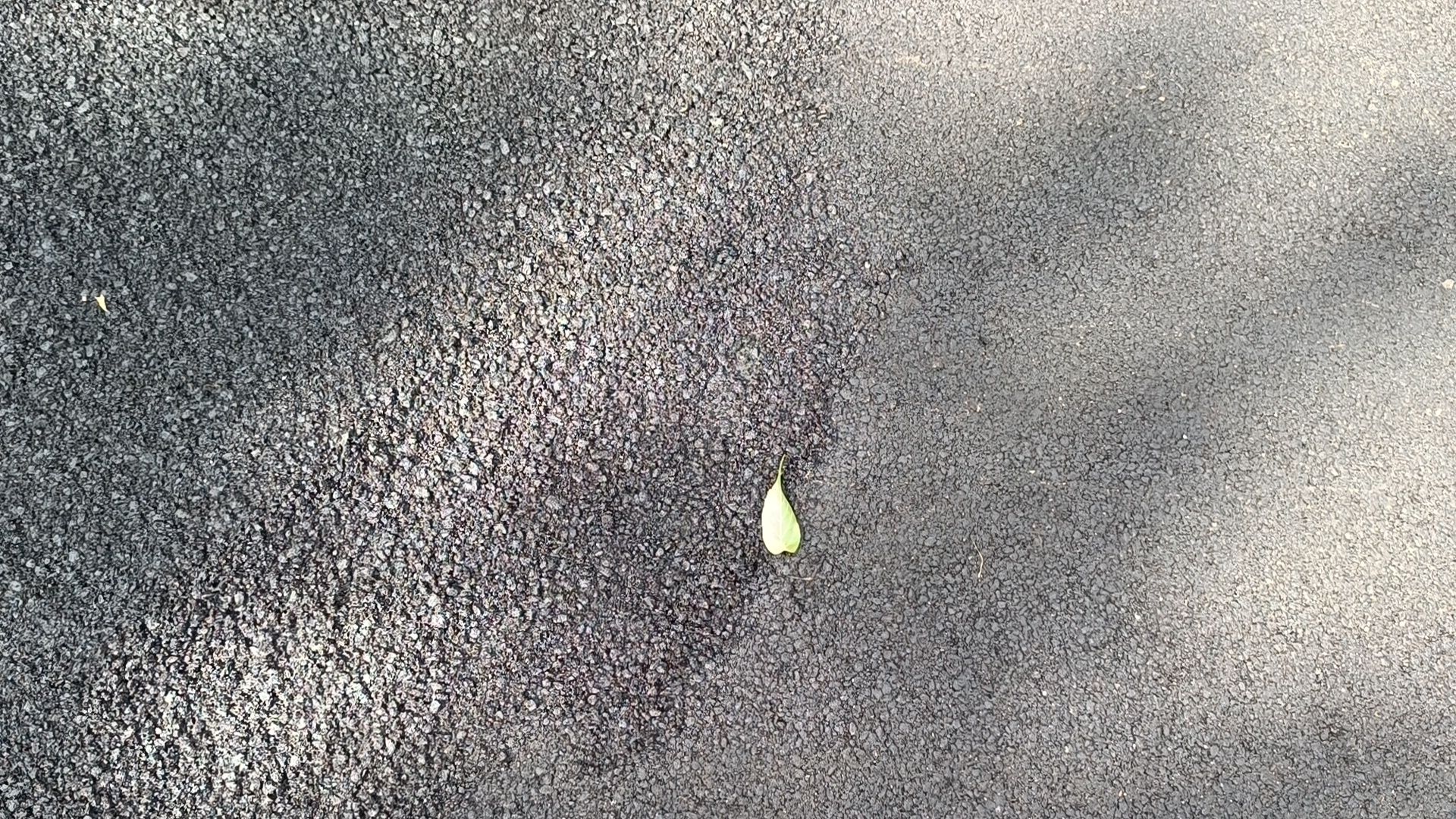 дорога, ремонт дорог, лобня,