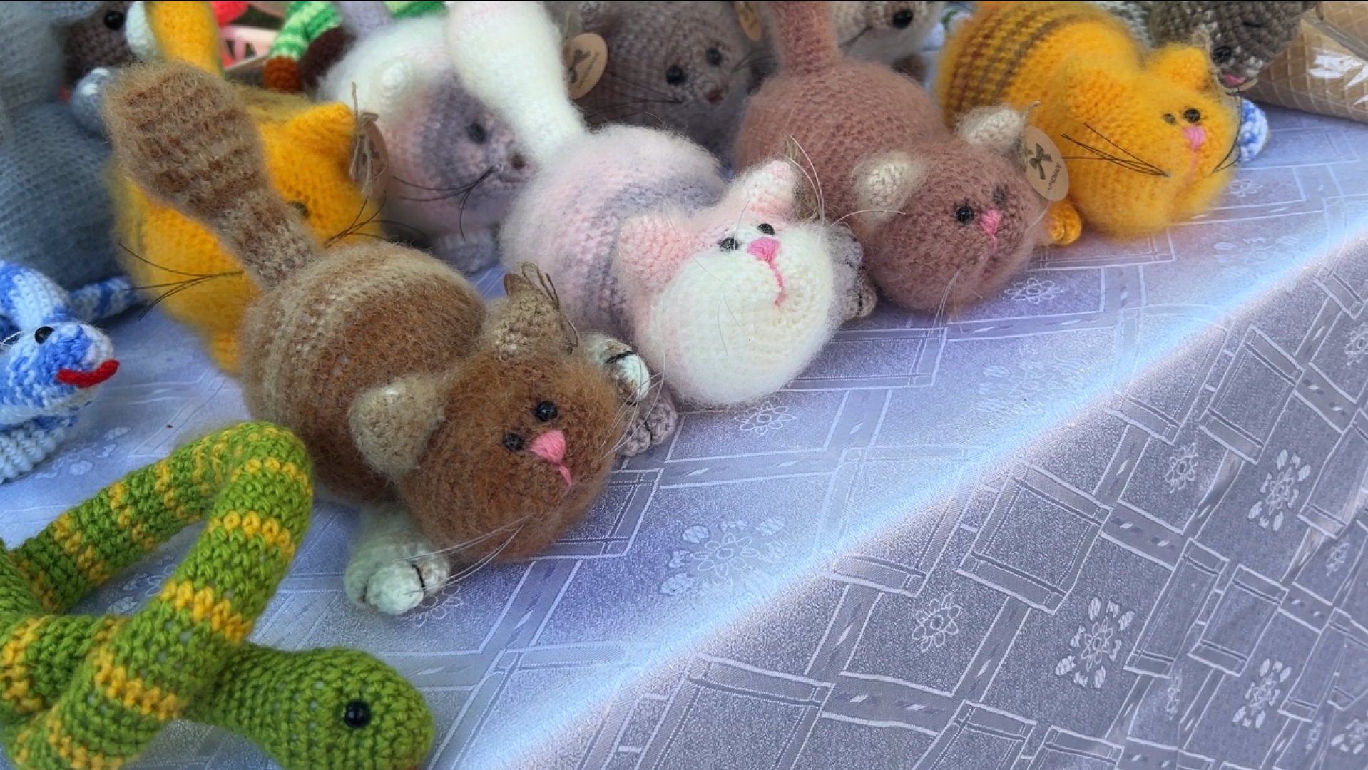 химки, кошки, парк, детский праздник, дети,