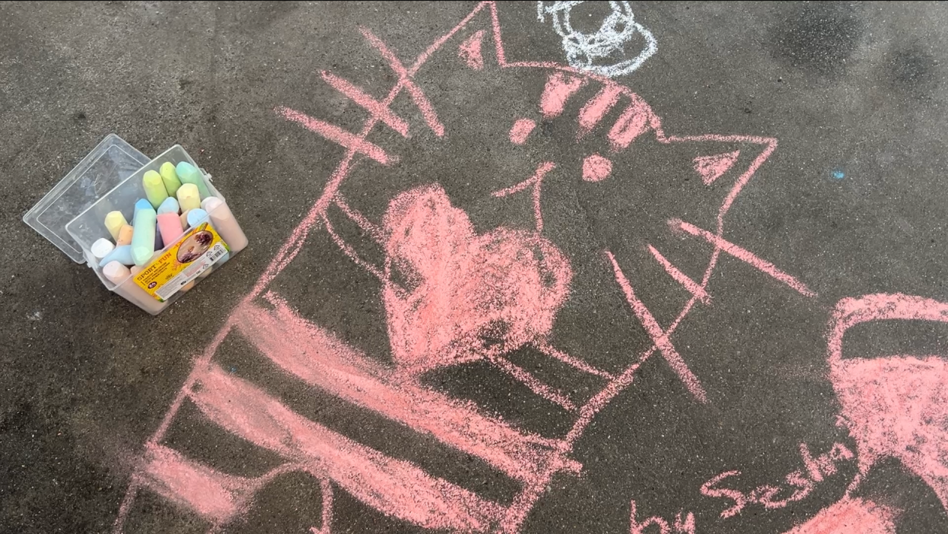 химки, кошки, парк, детский праздник, дети,