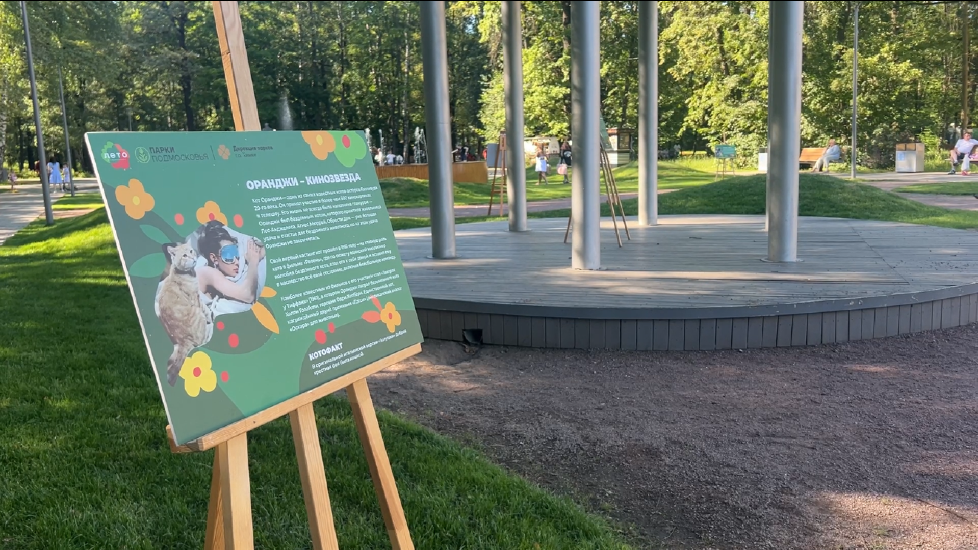 химки, кошки, парк, детский праздник, дети,