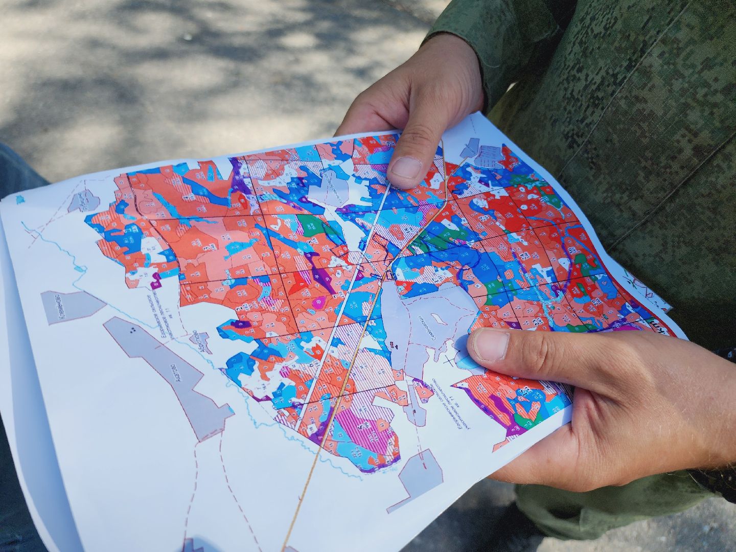 Егорьевск, Лес, егорьевское лесничество, лесники, ураган, подмосоковье, Московская область,