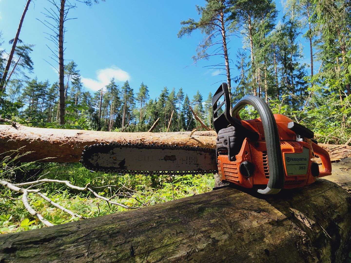 Егорьевск, Лес, егорьевское лесничество, лесники, ураган, подмосоковье, Московская область,