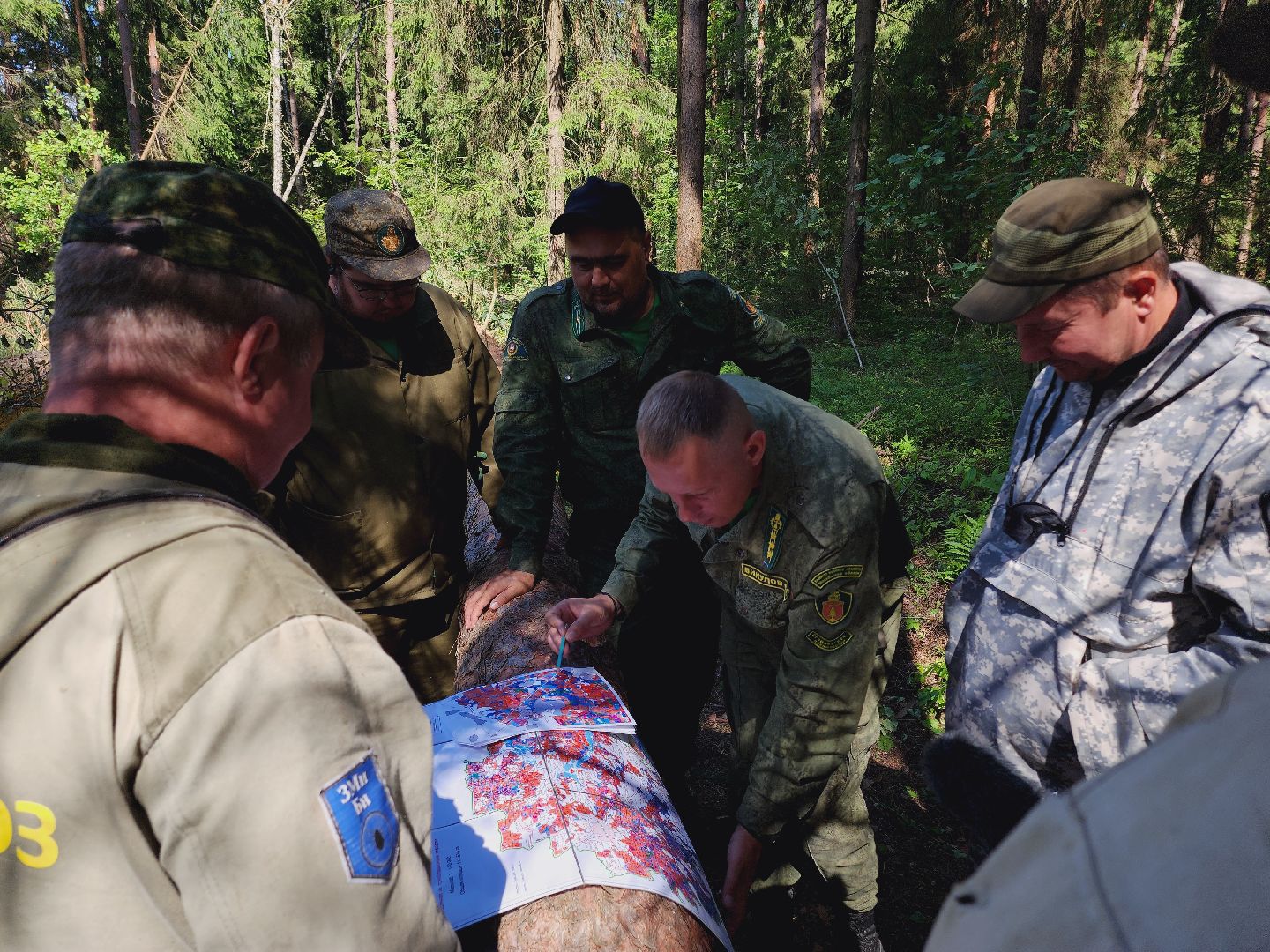Егорьевск, Лес, егорьевское лесничество, лесники, ураган, подмосоковье, Московская область,