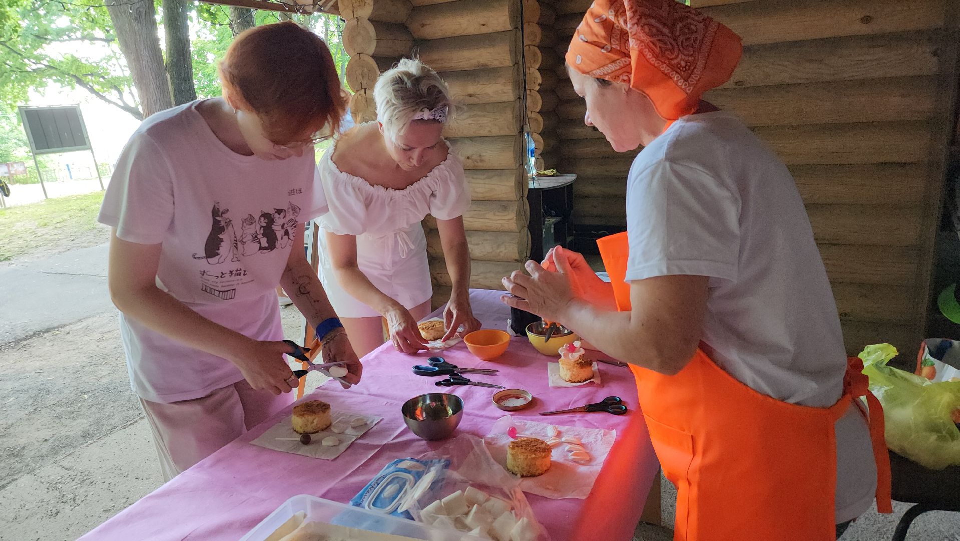 Праздник, день молодежи, волонтеры, руза, парки подмосковья, городок, рузский городской округ,