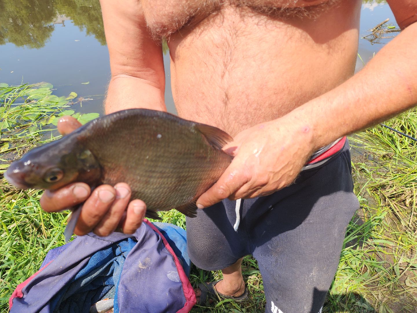 Соревнования по рыбной ловле, орехово-зуево,