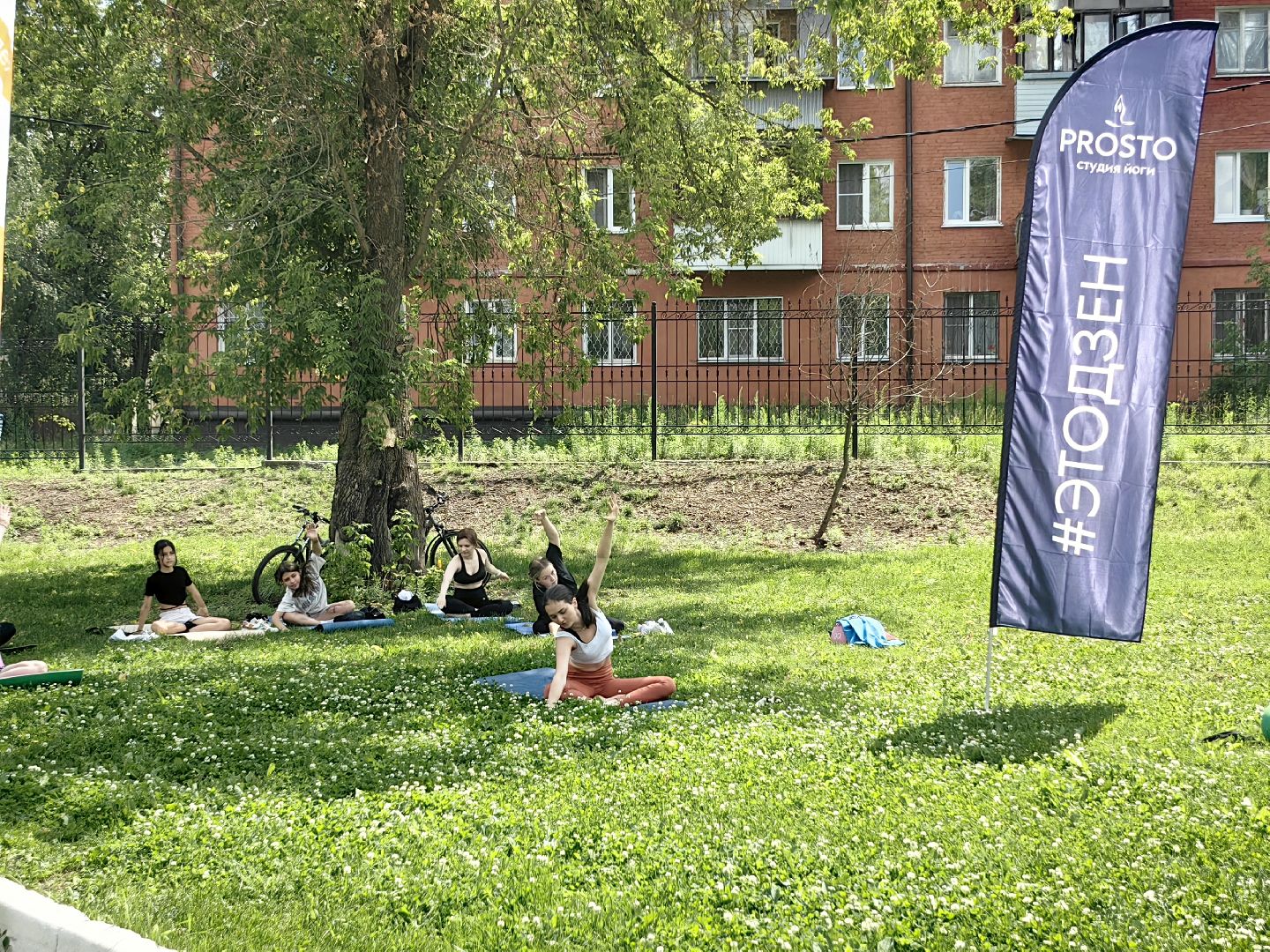 день молодежи, парк, волейбол, танцевальный батл, фестиваль красок, мастер-классы, концерт, щёлково,