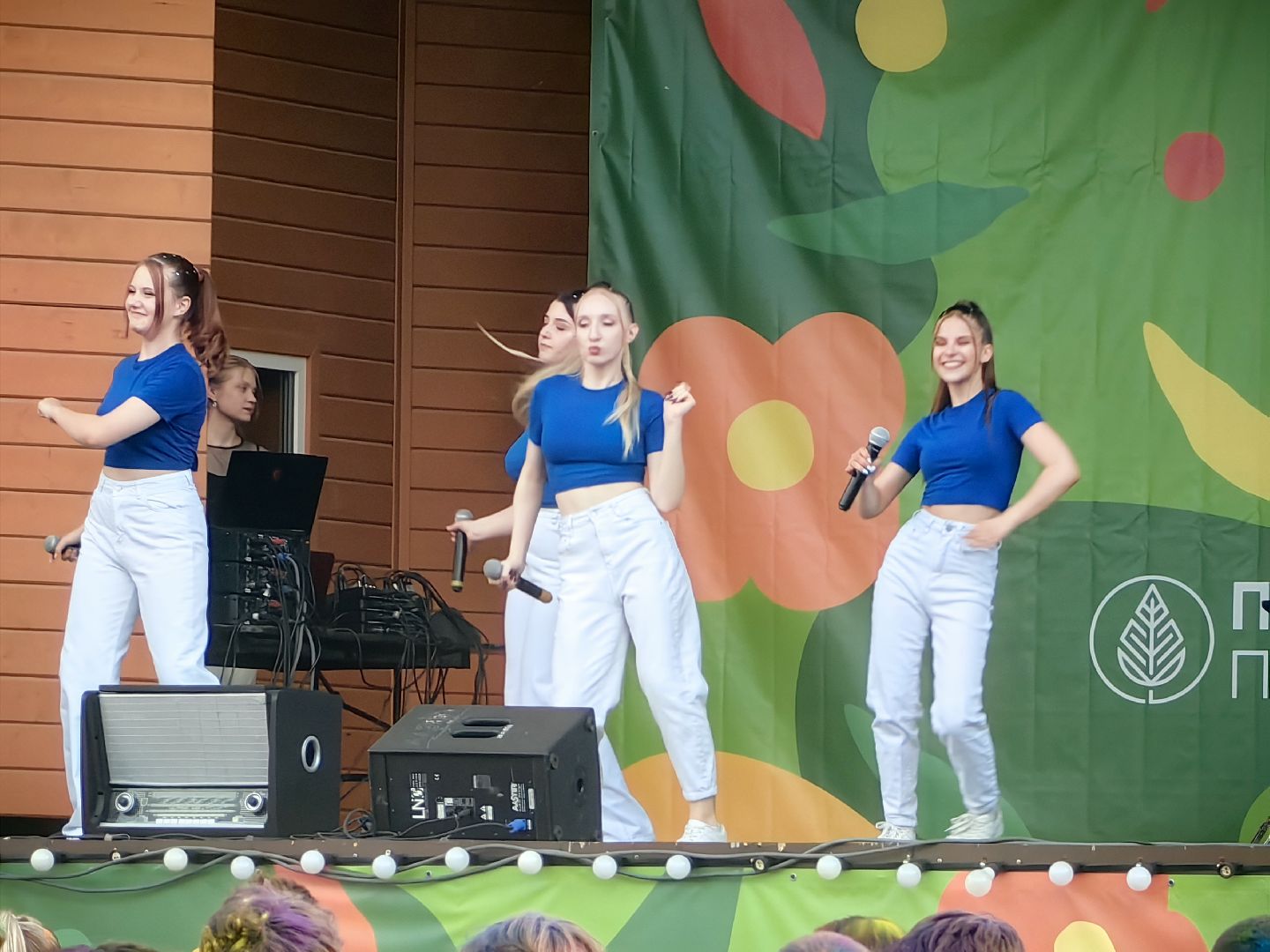 день молодежи, парк, волейбол, танцевальный батл, фестиваль красок, мастер-классы, концерт, щёлково,