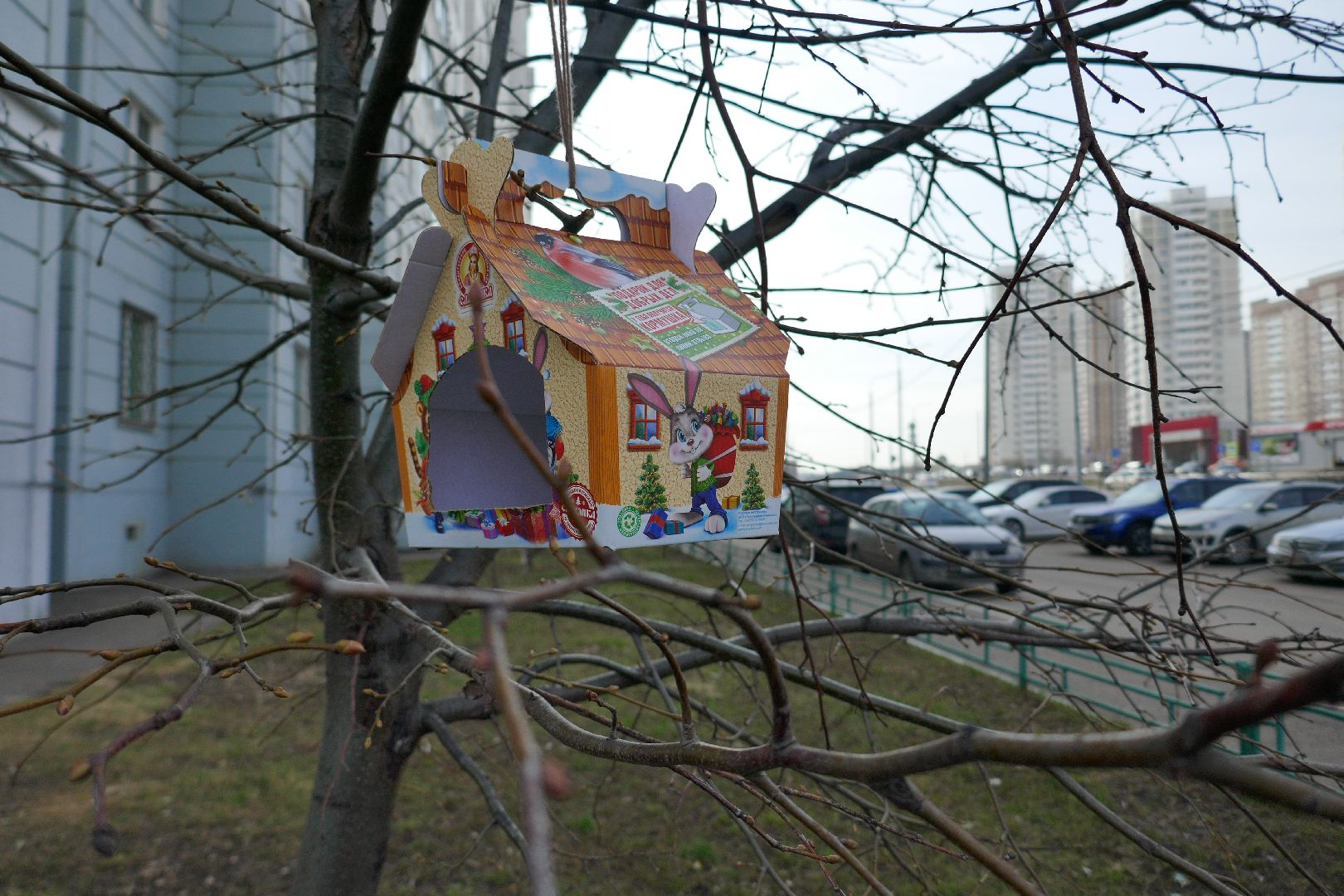 Подольск, птицы, кормушка, природа