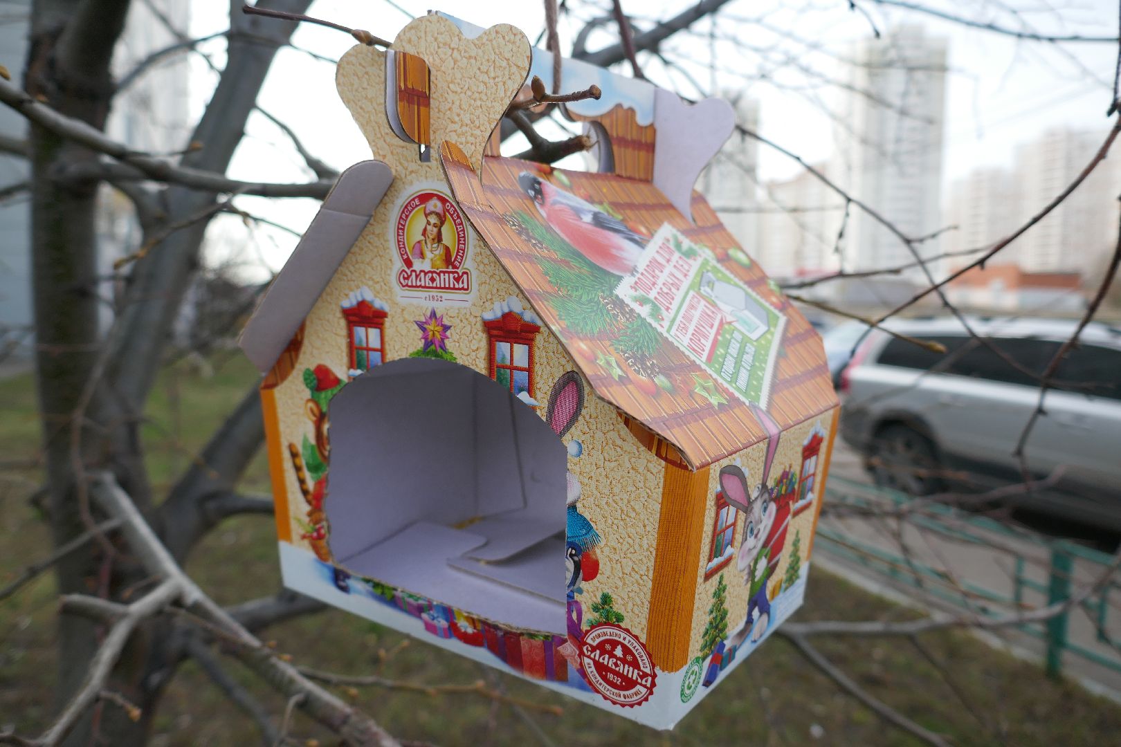 Подольск, птицы, кормушка, природа