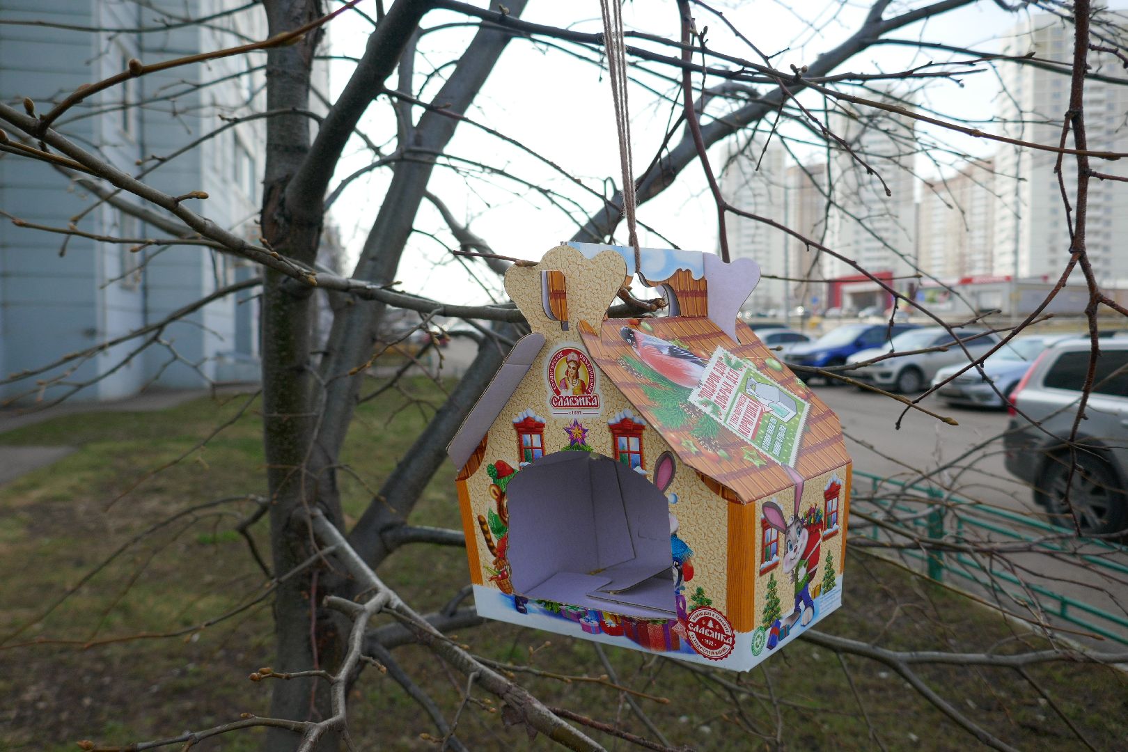 Подольск, птицы, кормушка, природа