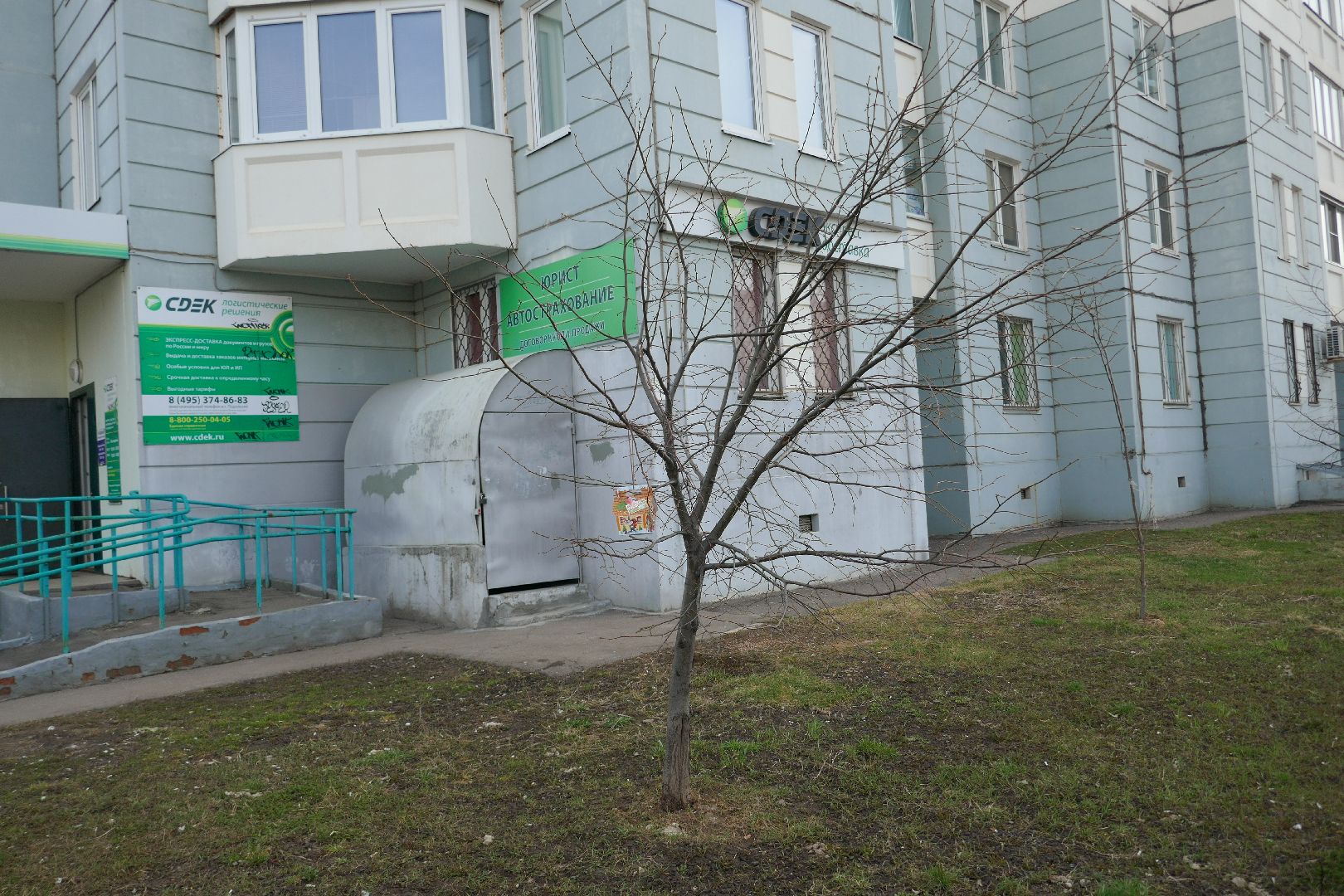 Подольск, птицы, кормушка, природа