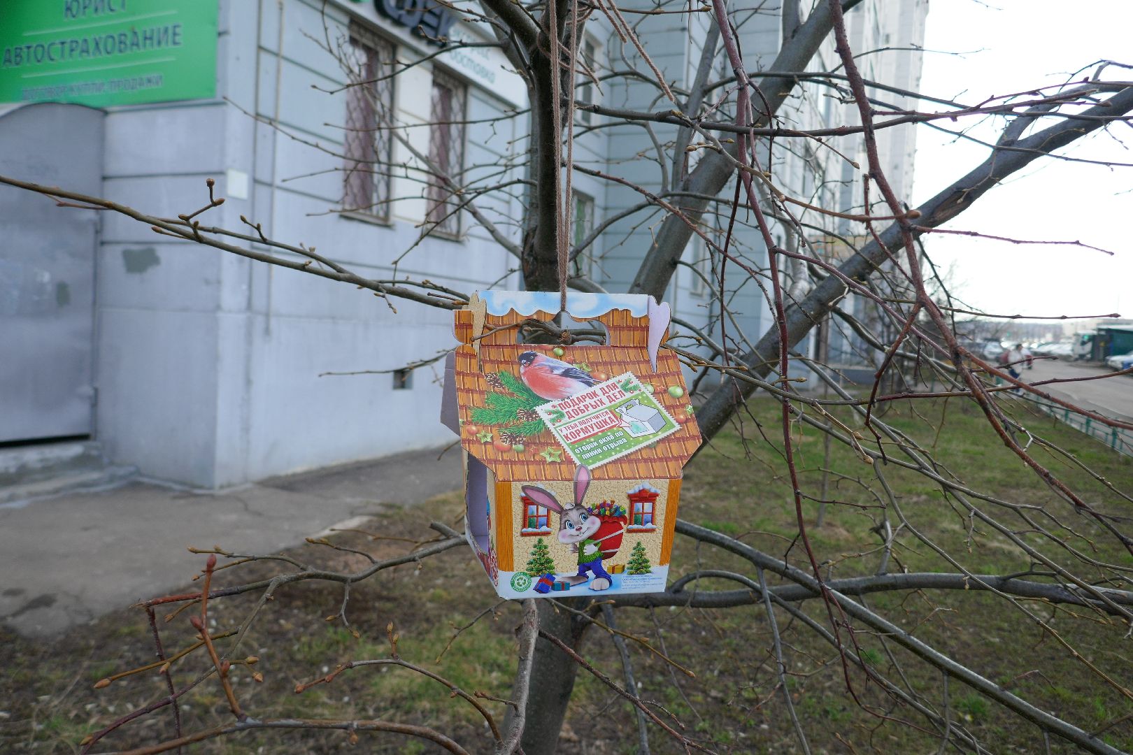 Подольск, птицы, кормушка, природа