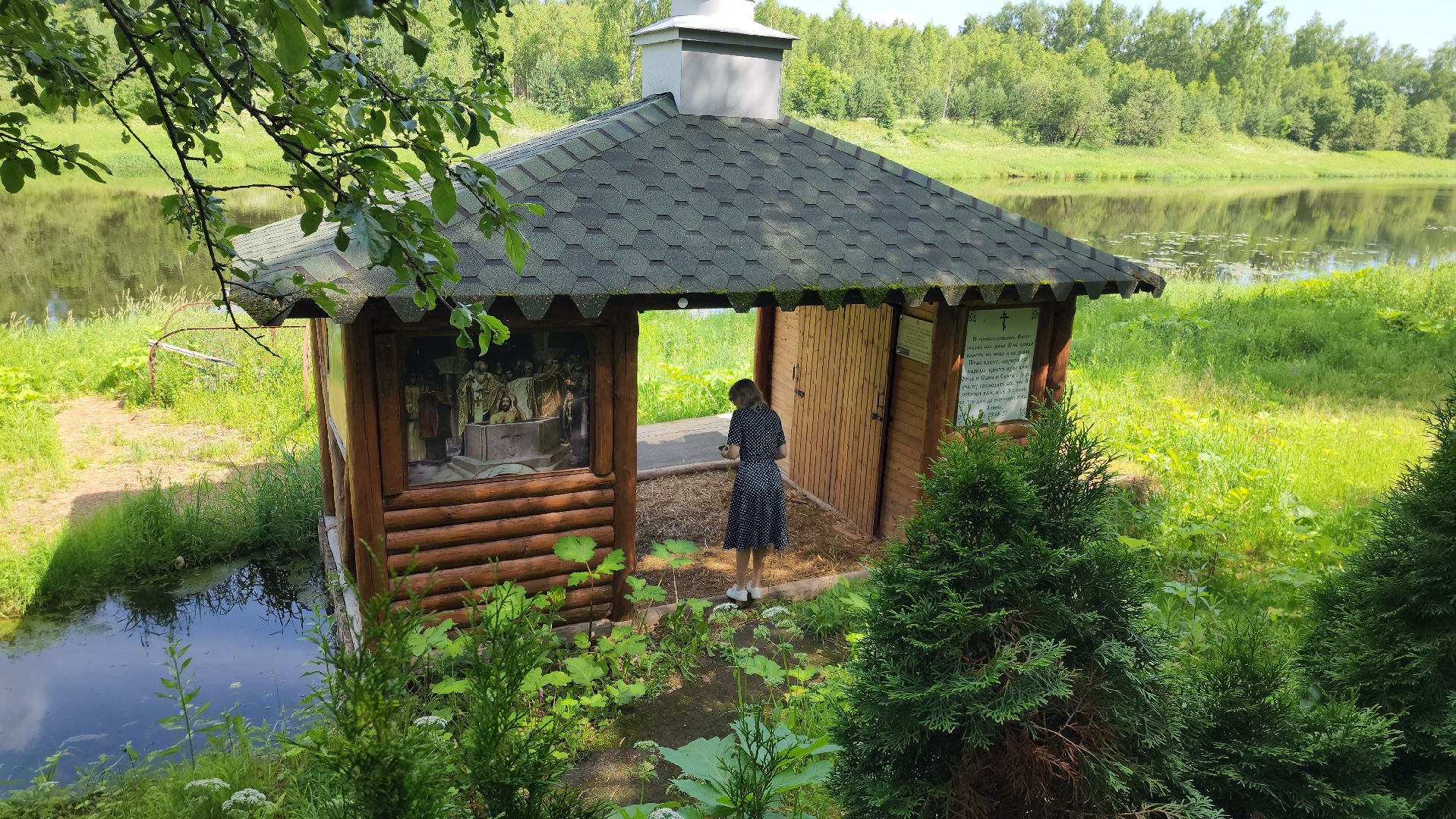 родники, анализ воды, экология, руза, рузский городской округ, московская область, подмосковье,