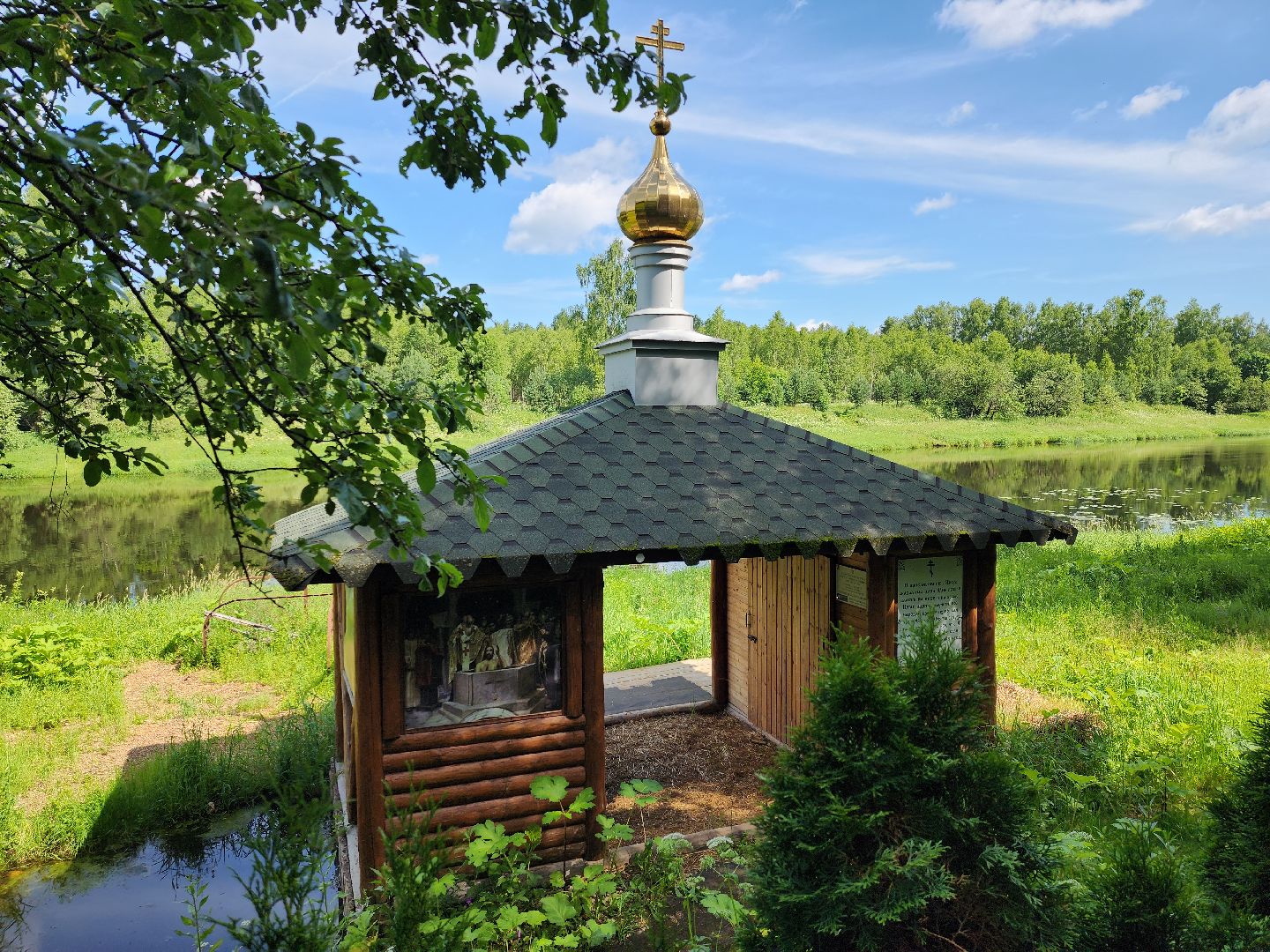 родники, анализ воды, экология, руза, рузский городской округ, московская область, подмосковье,