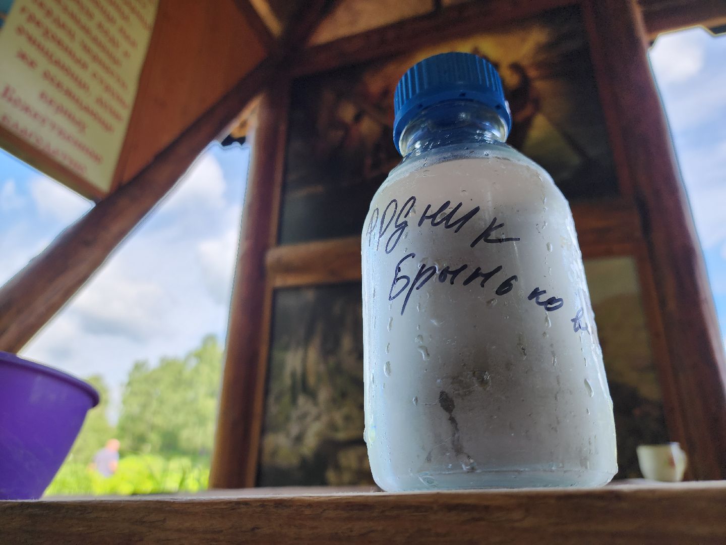 родники, анализ воды, экология, руза, рузский городской округ, московская область, подмосковье,