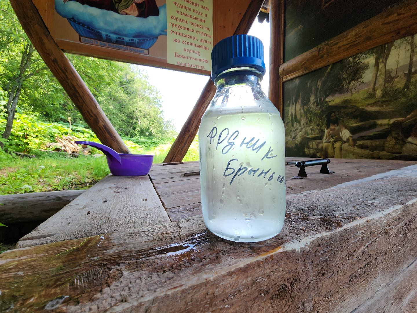 родники, анализ воды, экология, руза, рузский городской округ, московская область, подмосковье,