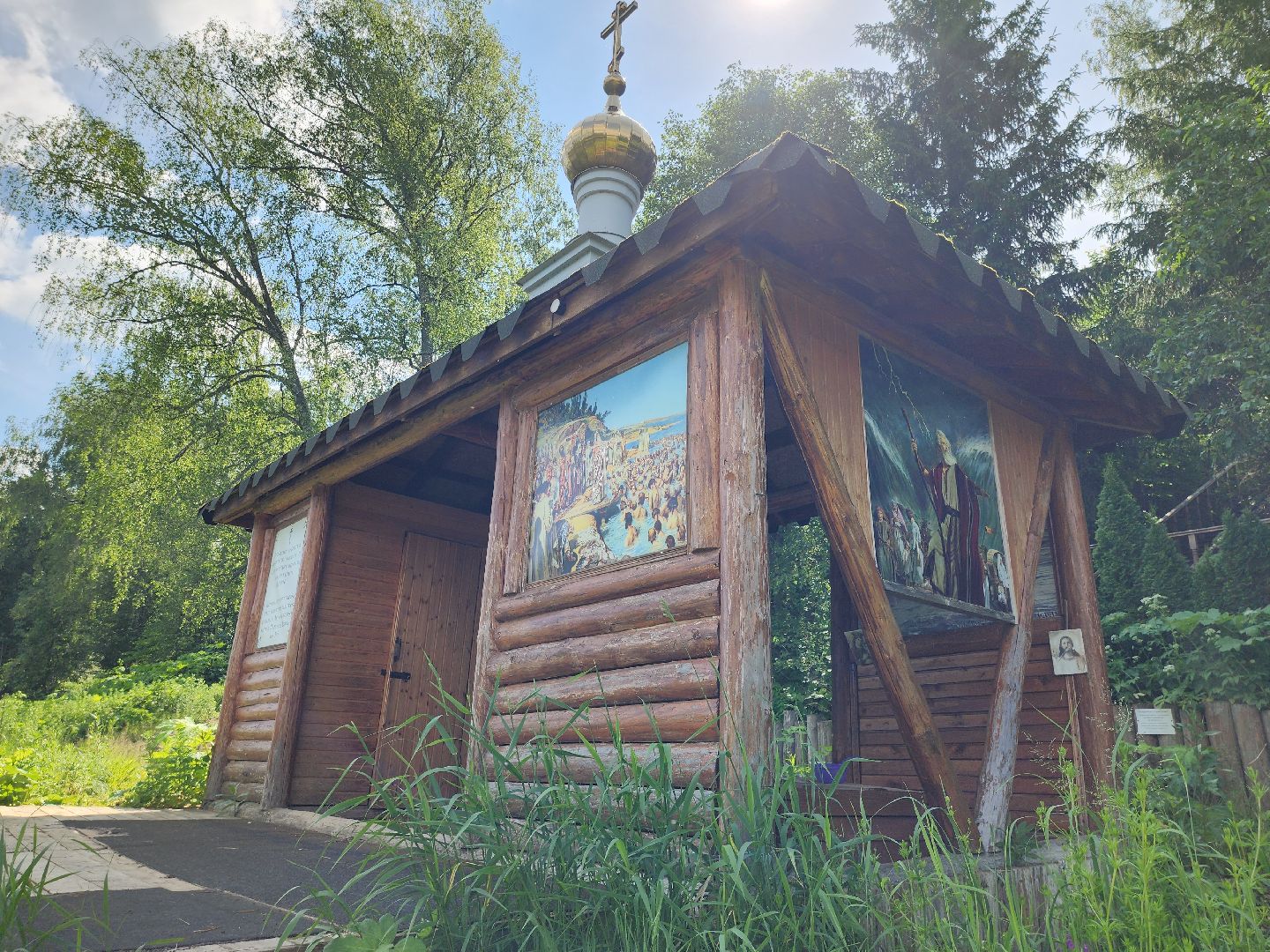 родники, анализ воды, экология, руза, рузский городской округ, московская область, подмосковье,