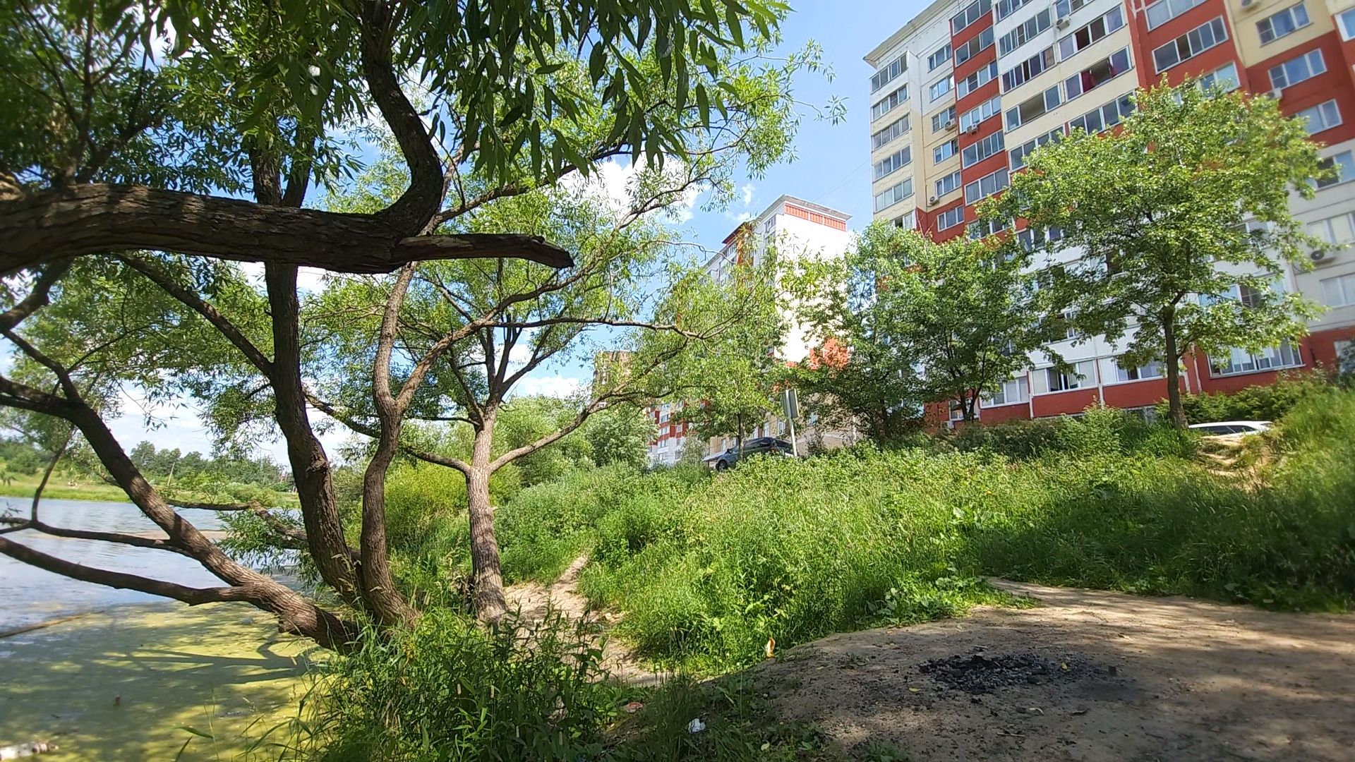 одинцово, экология, губернаторская программа, 100 прудов и озер, водоемы,