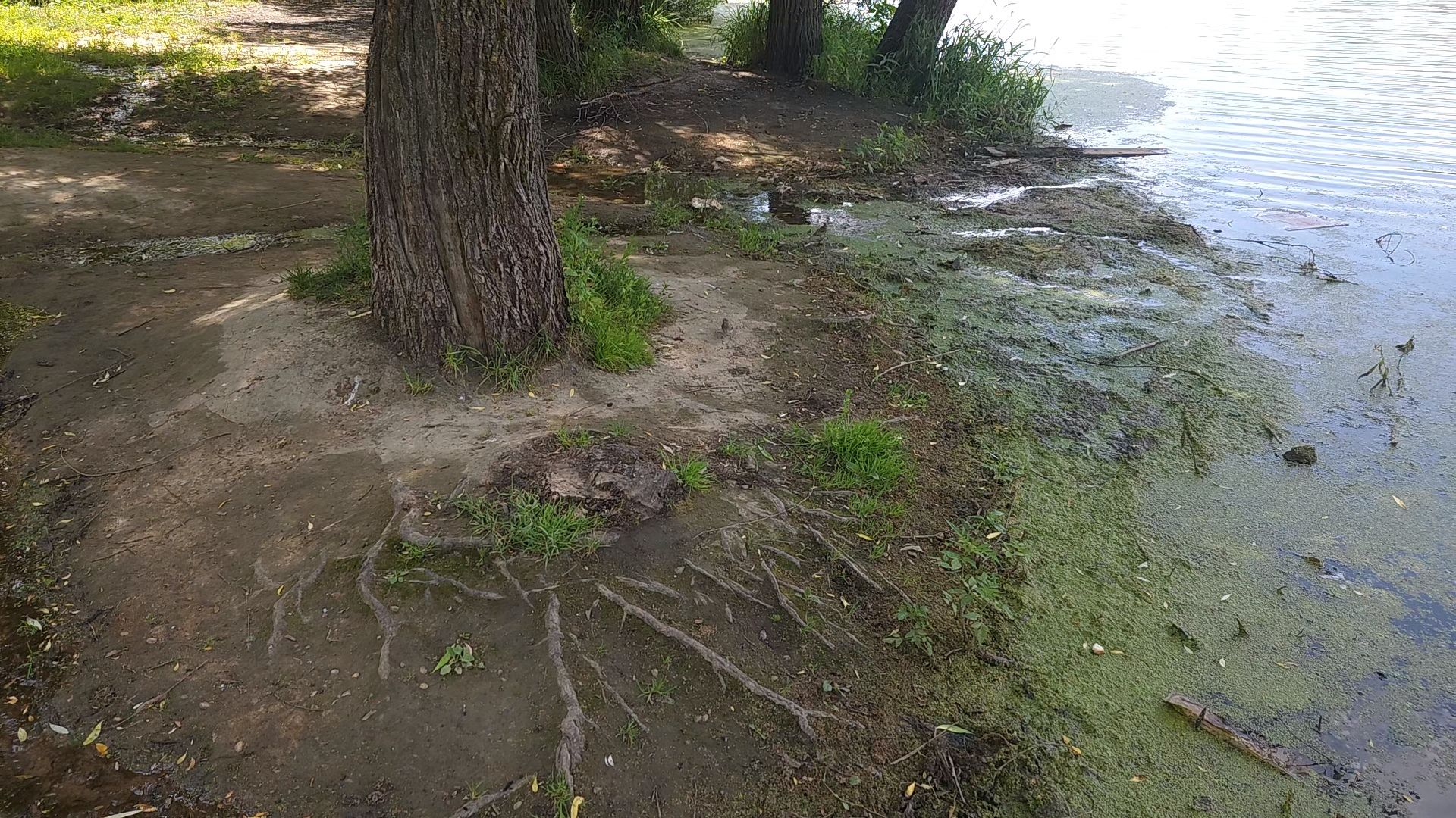 одинцово, экология, губернаторская программа, 100 прудов и озер, водоемы,