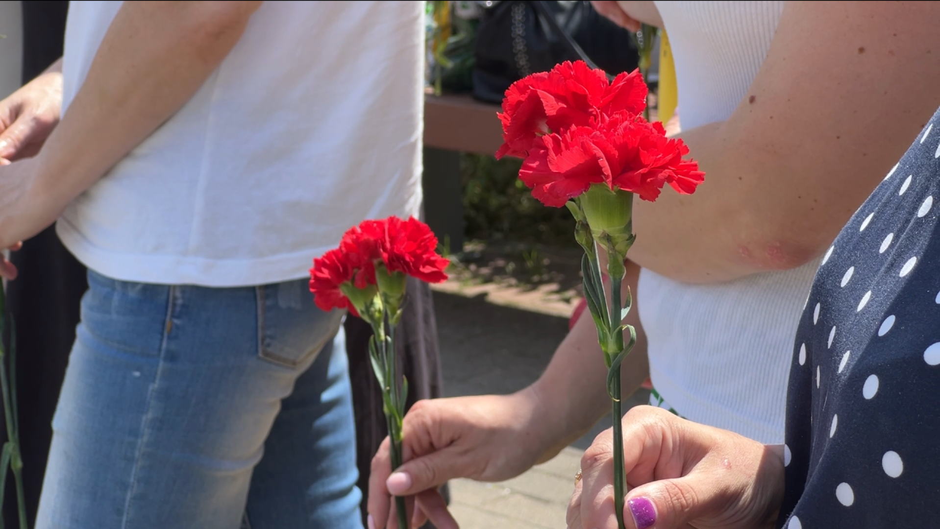 химки, ветераны боевых действий, возложение цветов, монумент, день памяти,