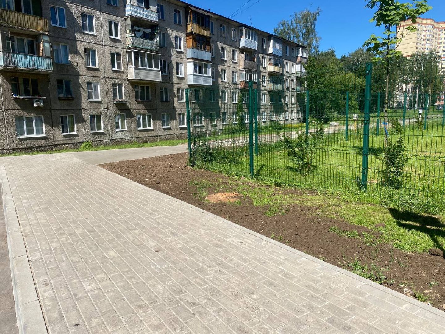 пушкино, озеленение города, благоустройство, газон, трава, цветы,