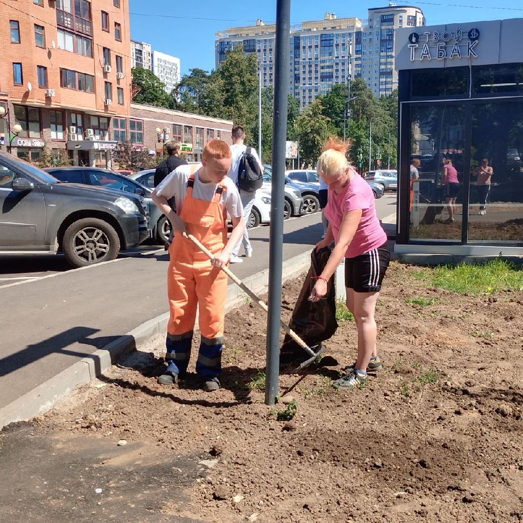 пушкино, озеленение города, благоустройство, газон, трава, цветы,
