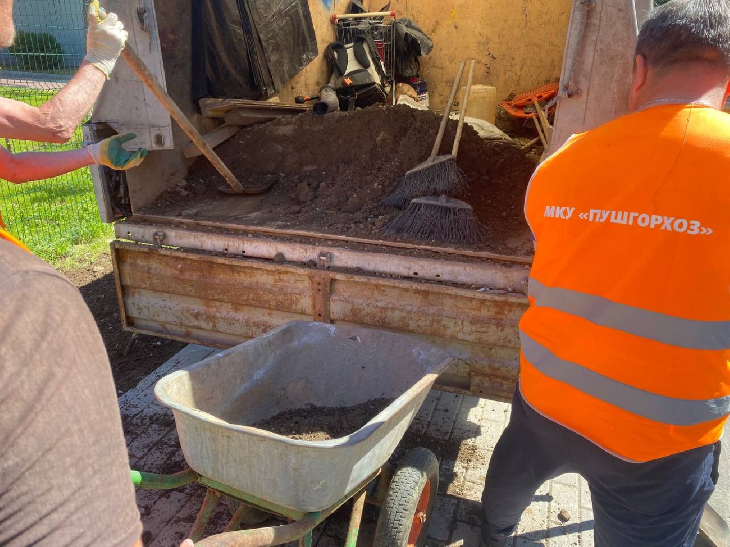 пушкино, озеленение города, благоустройство, газон, трава, цветы,