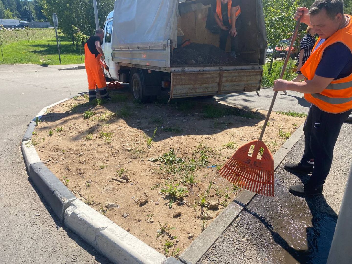 пушкино, озеленение города, благоустройство, газон, трава, цветы,