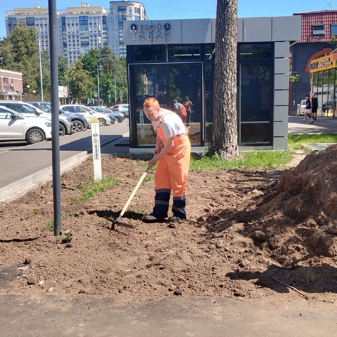 пушкино, озеленение города, благоустройство, газон, трава, цветы,