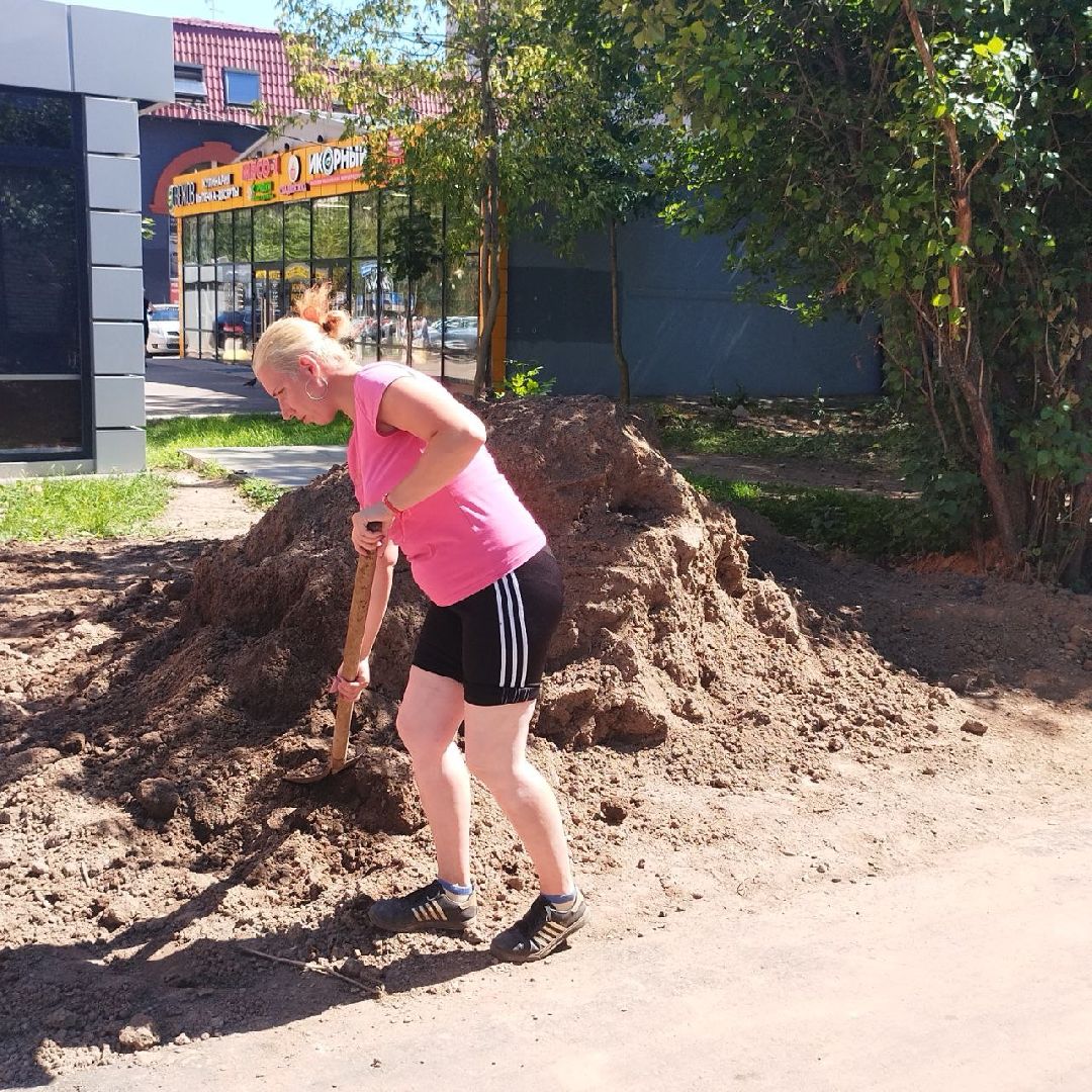 пушкино, озеленение города, благоустройство, газон, трава, цветы,