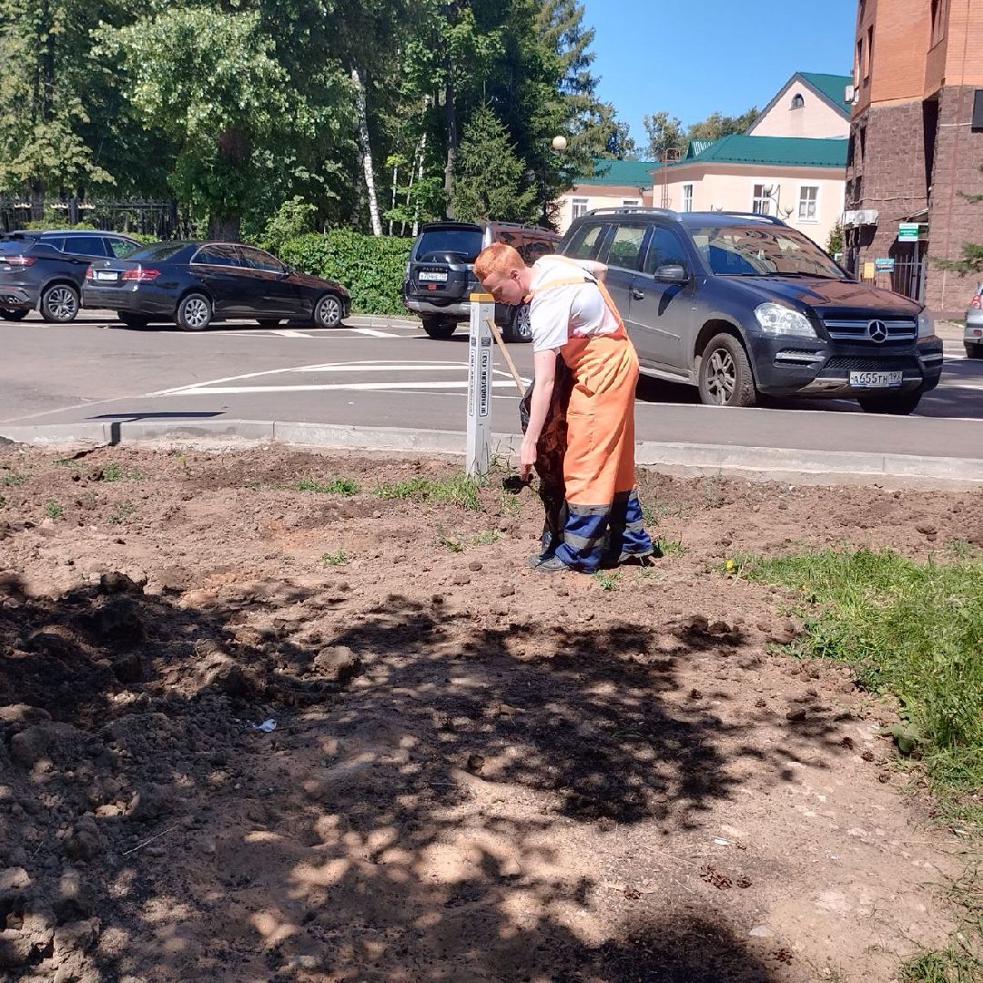 пушкино, озеленение города, благоустройство, газон, трава, цветы,