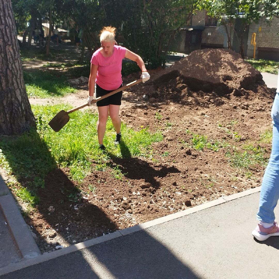 пушкино, озеленение города, благоустройство, газон, трава, цветы,