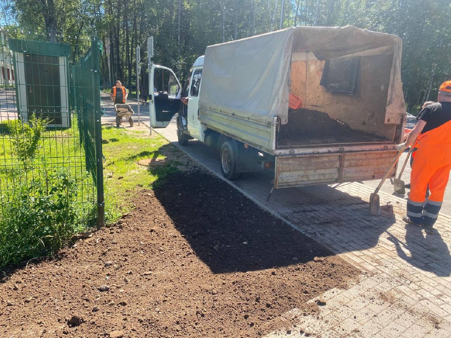 пушкино, озеленение города, благоустройство, газон, трава, цветы,