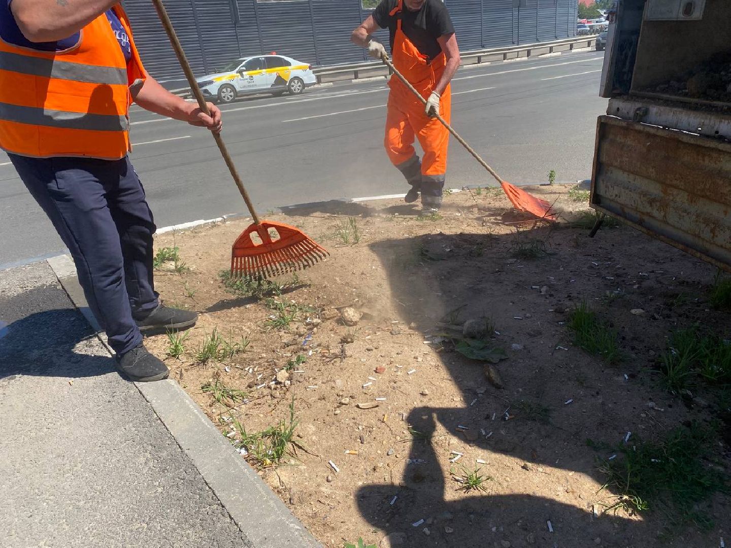 пушкино, озеленение города, благоустройство, газон, трава, цветы,