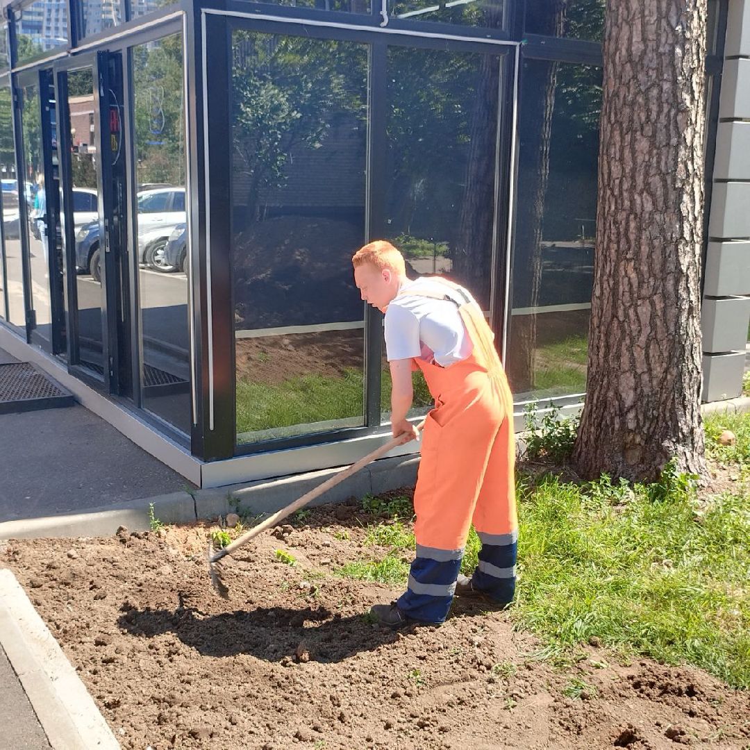 пушкино, озеленение города, благоустройство, газон, трава, цветы,