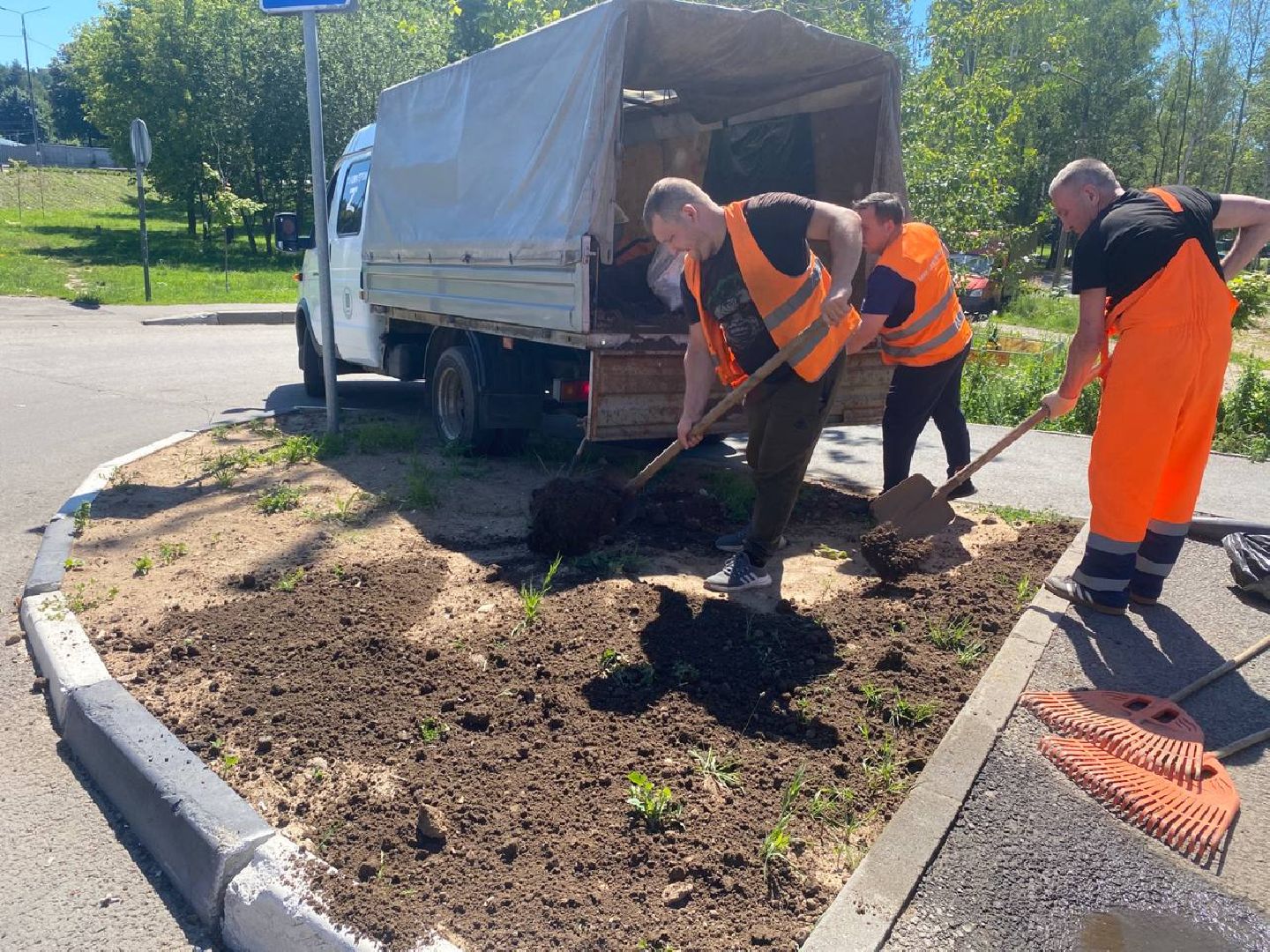 пушкино, озеленение города, благоустройство, газон, трава, цветы,
