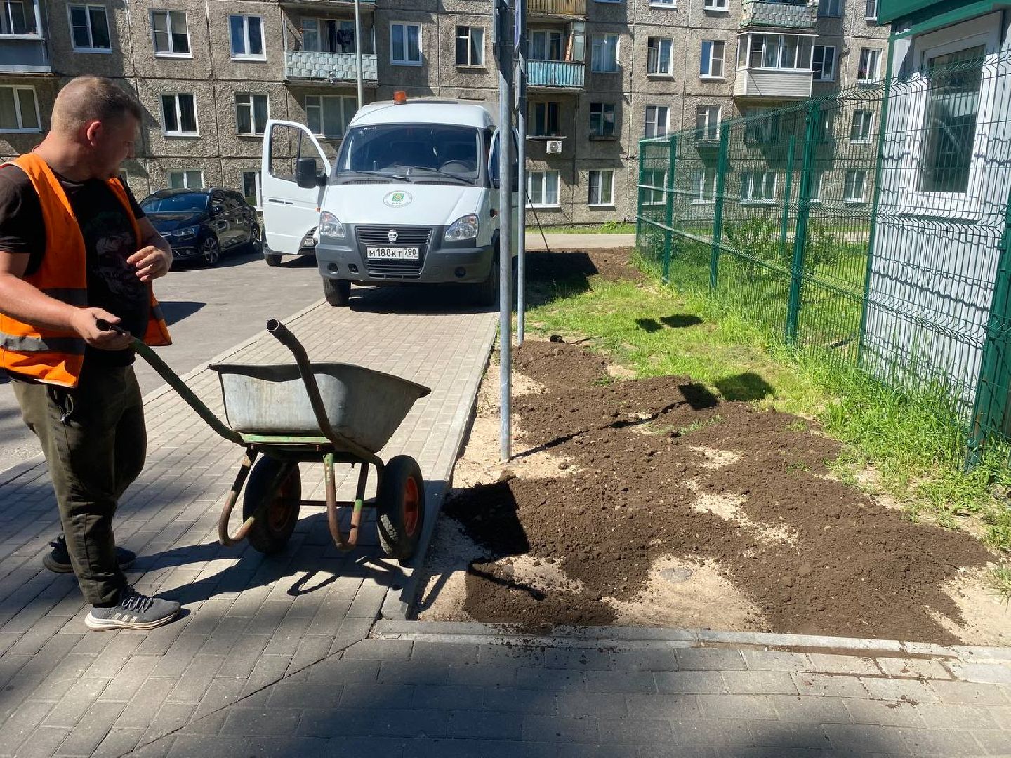 пушкино, озеленение города, благоустройство, газон, трава, цветы,