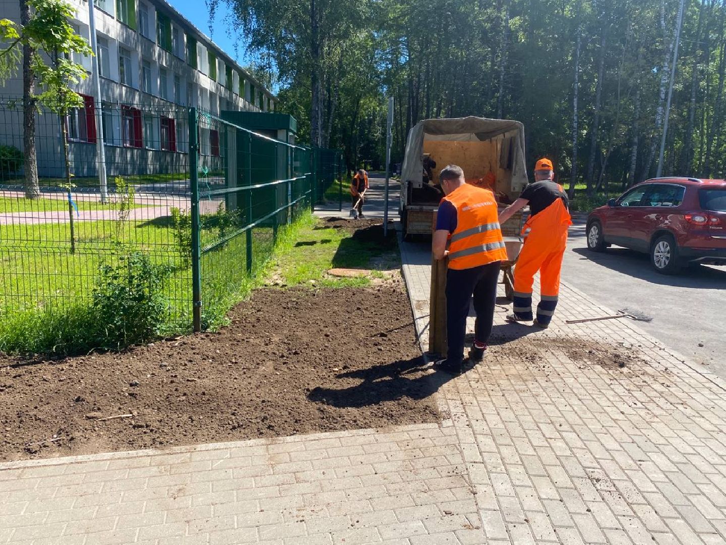 пушкино, озеленение города, благоустройство, газон, трава, цветы,