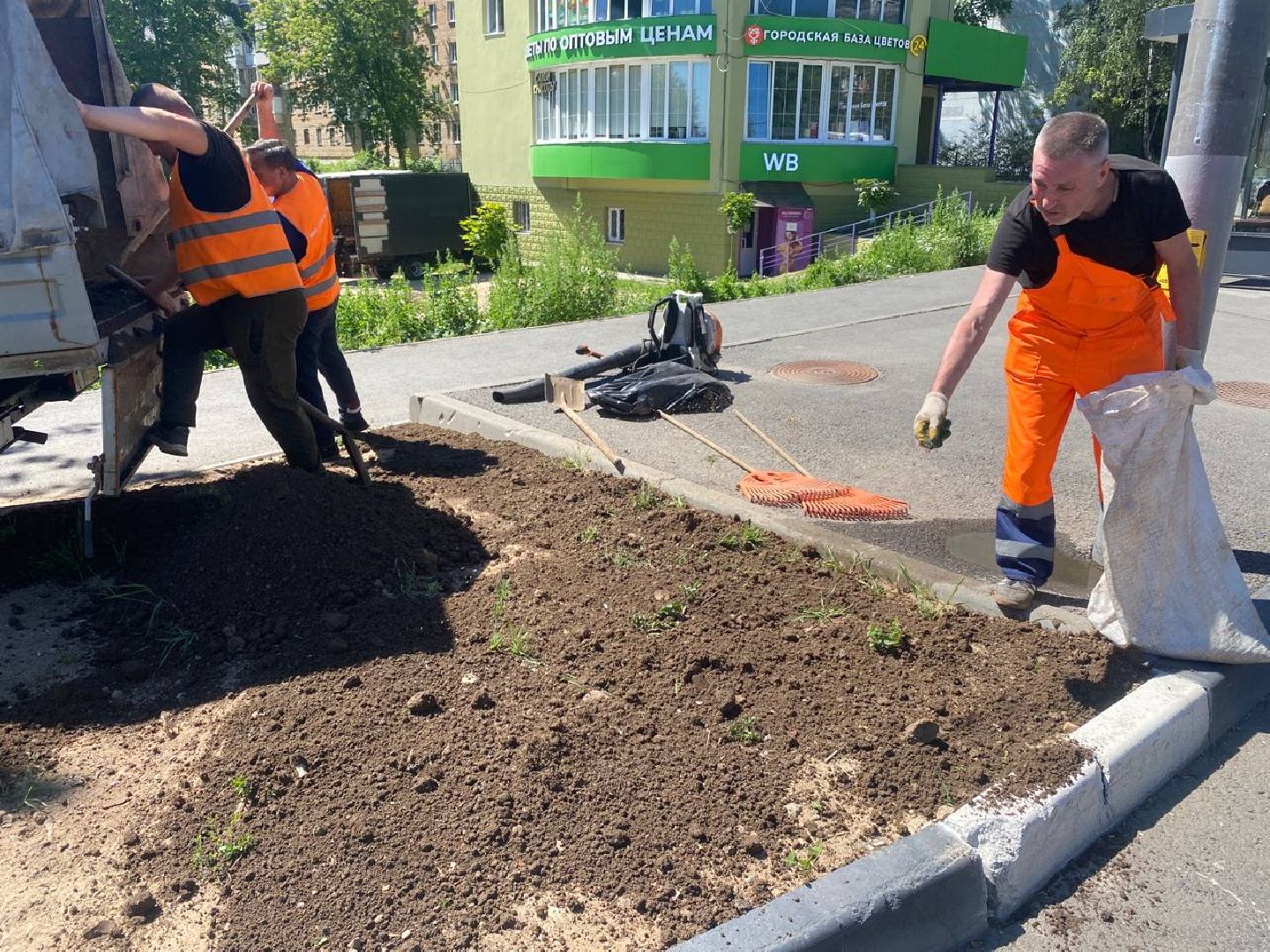 пушкино, озеленение города, благоустройство, газон, трава, цветы,