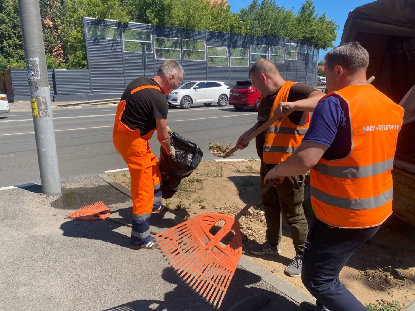 пушкино, озеленение города, благоустройство, газон, трава, цветы,