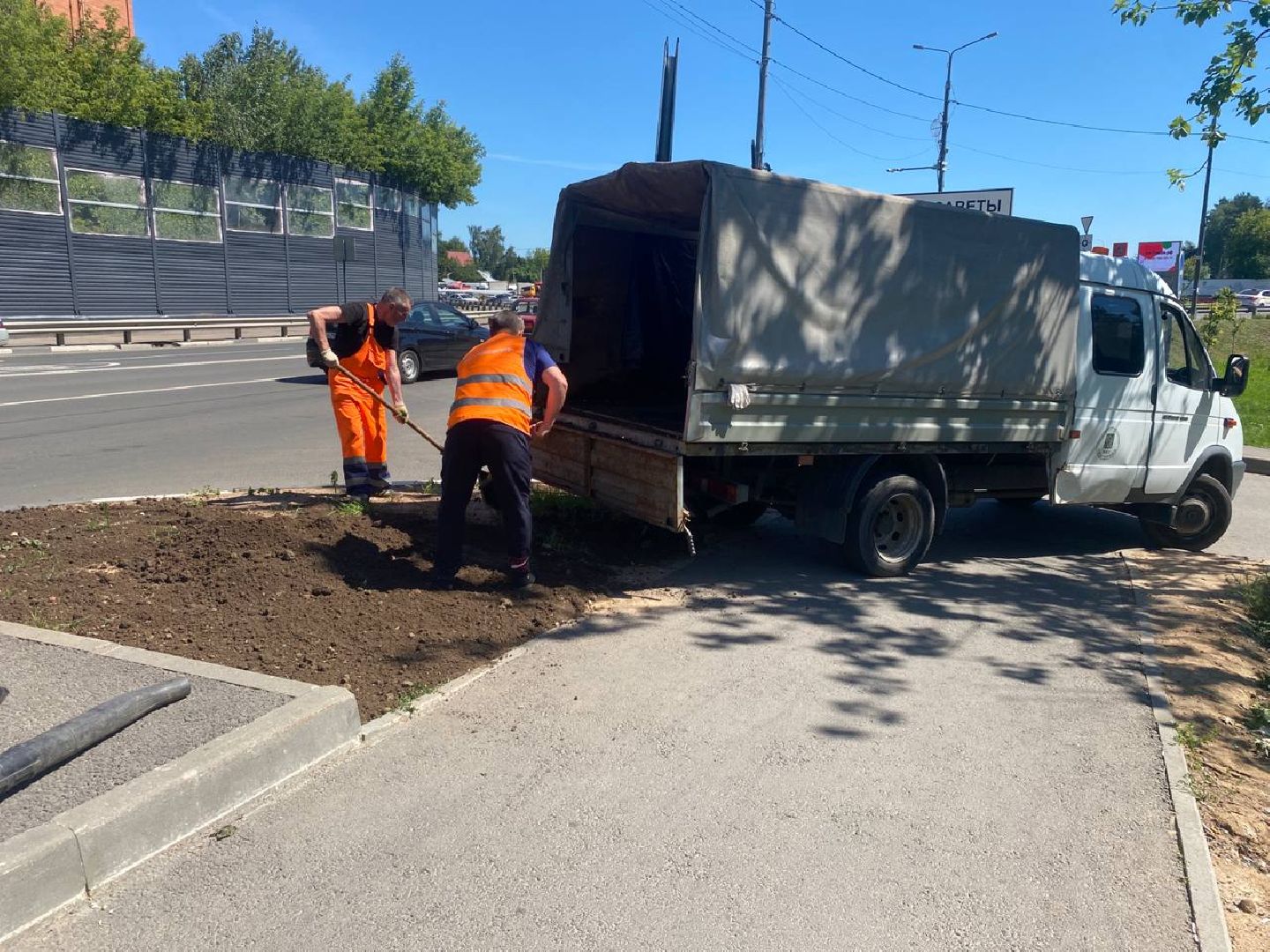 пушкино, озеленение города, благоустройство, газон, трава, цветы,