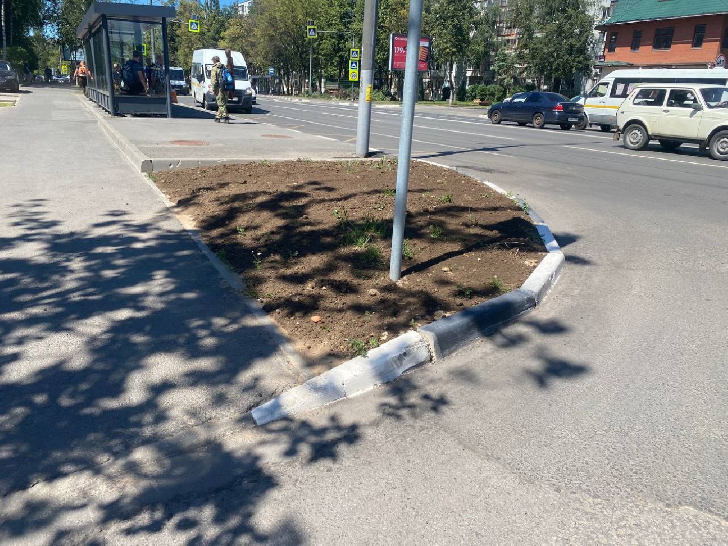 пушкино, озеленение города, благоустройство, газон, трава, цветы,