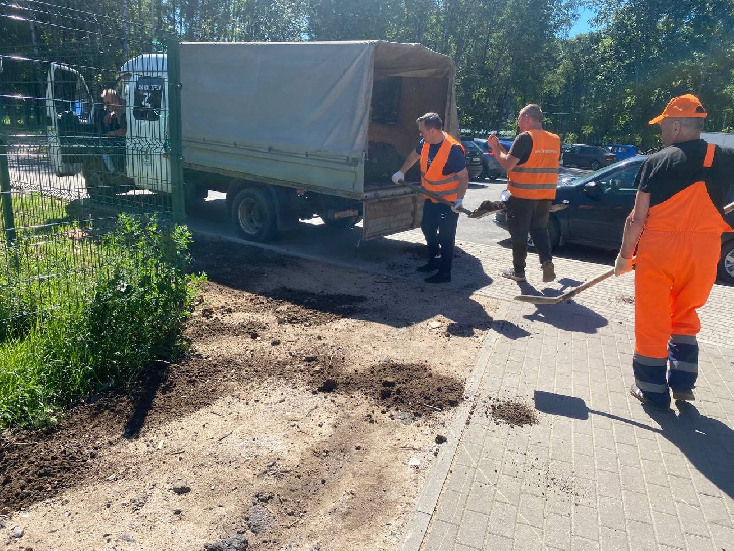 пушкино, озеленение города, благоустройство, газон, трава, цветы,