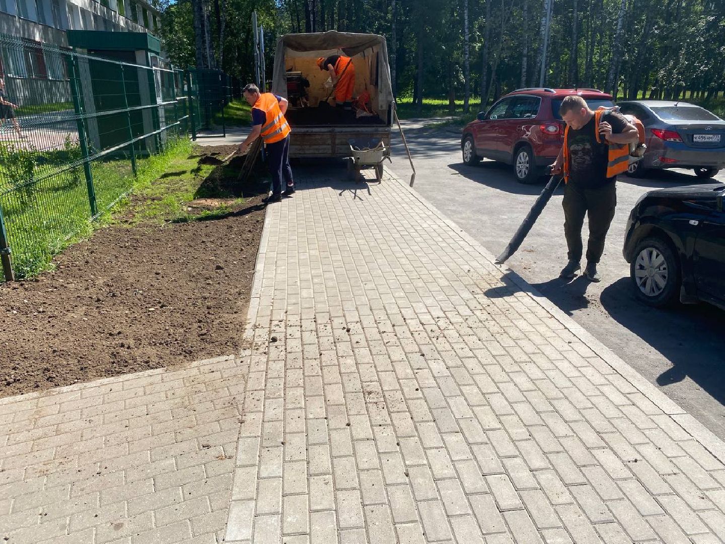 пушкино, озеленение города, благоустройство, газон, трава, цветы,