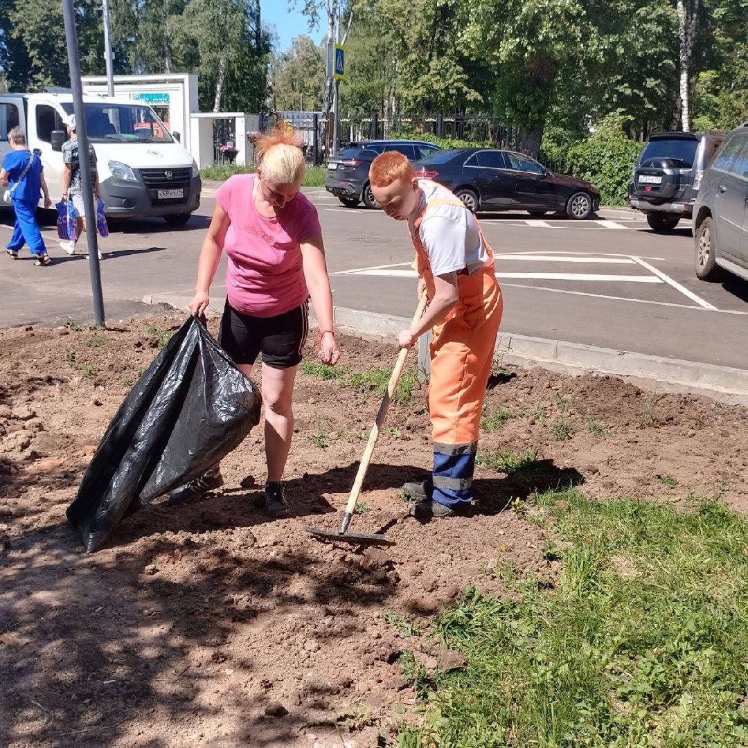 пушкино, озеленение города, благоустройство, газон, трава, цветы,