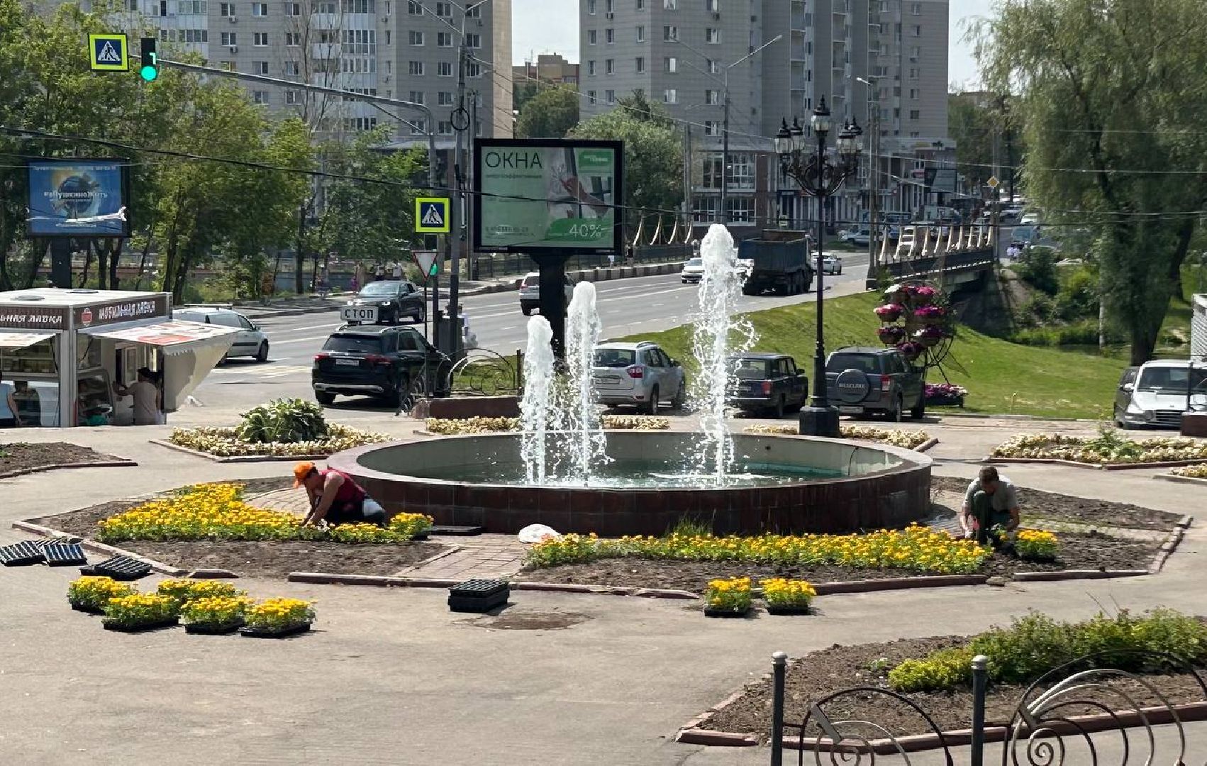 пушкино, озеленение города, благоустройство, газон, трава, цветы,