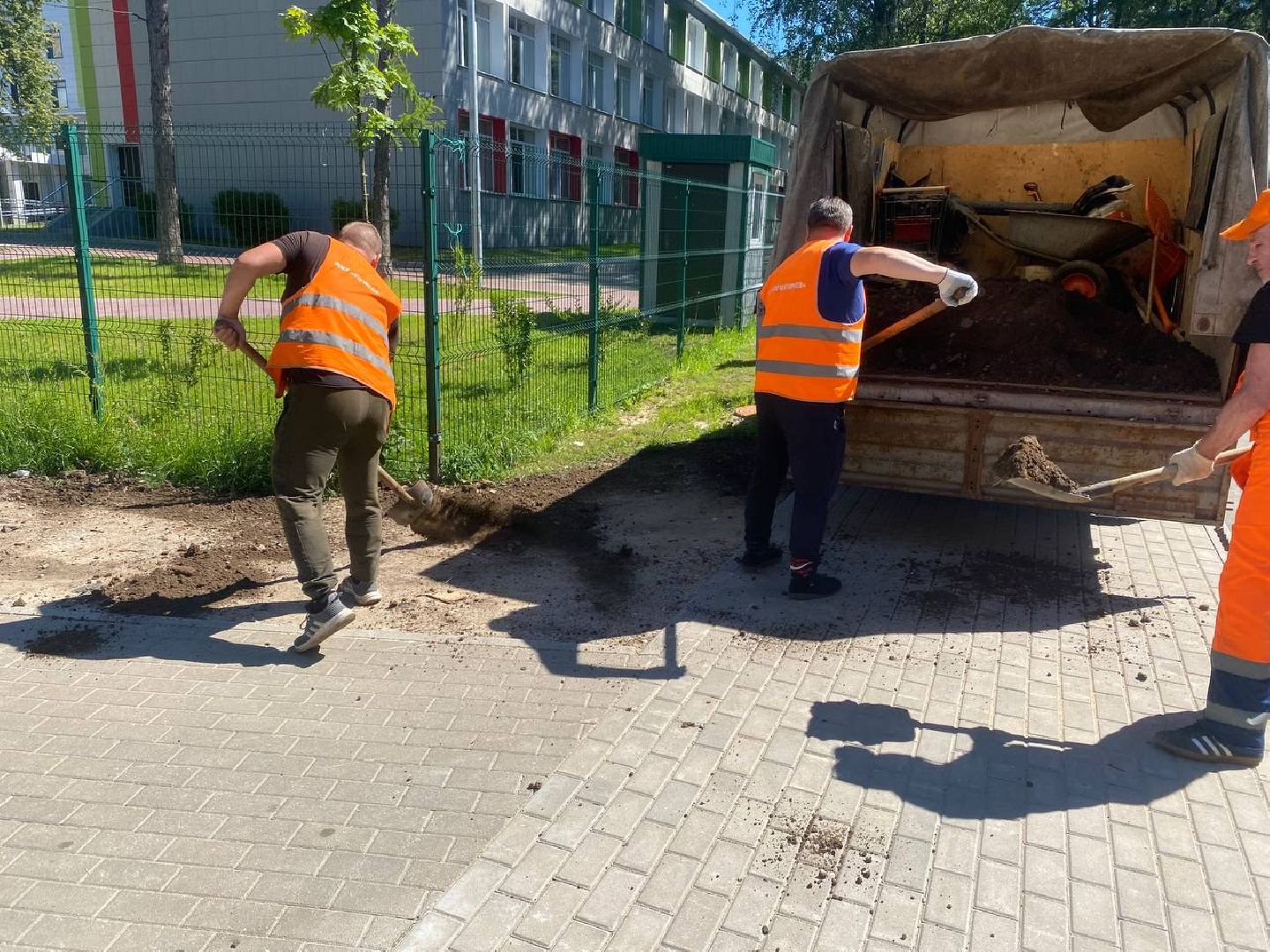 пушкино, озеленение города, благоустройство, газон, трава, цветы,